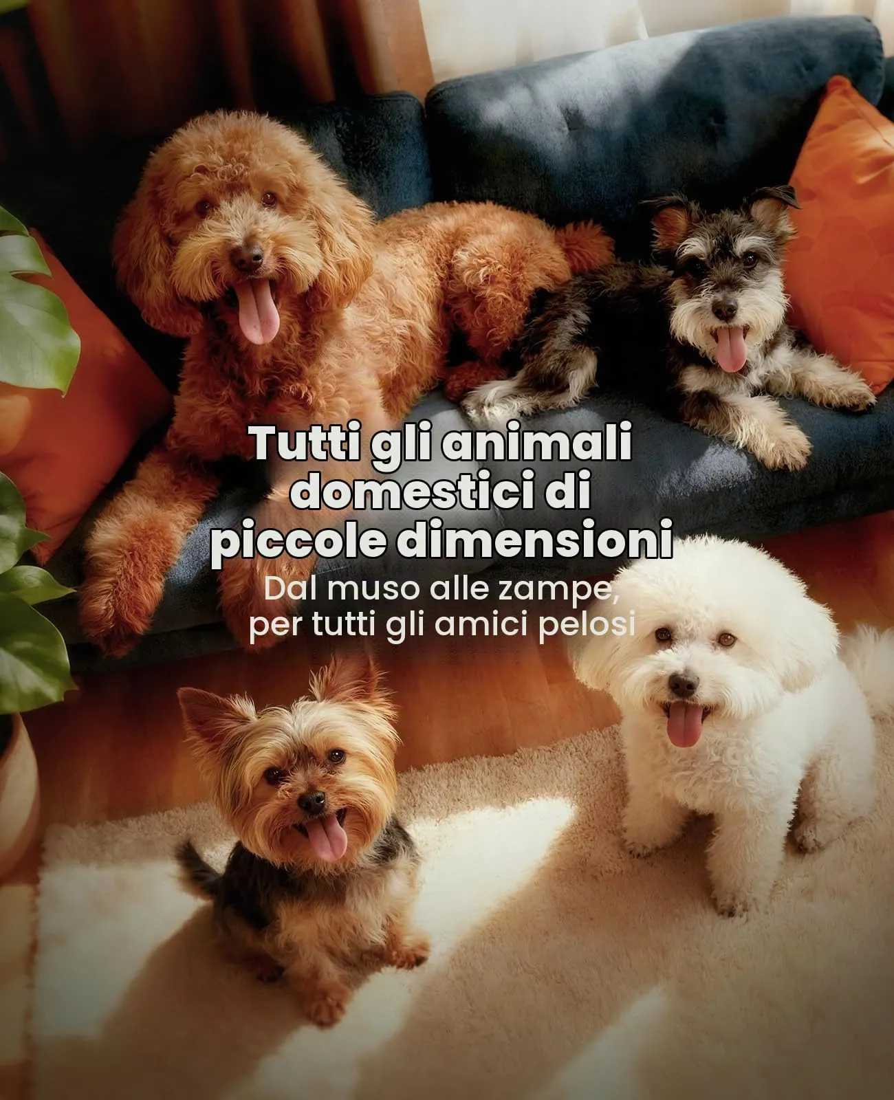 oneisall Tosatrice per cani Tosatrice a basso rumore Tosatrice per cani per gatti zampe, occhi, orecchie, viso, corpo (Nero) - immagine 7