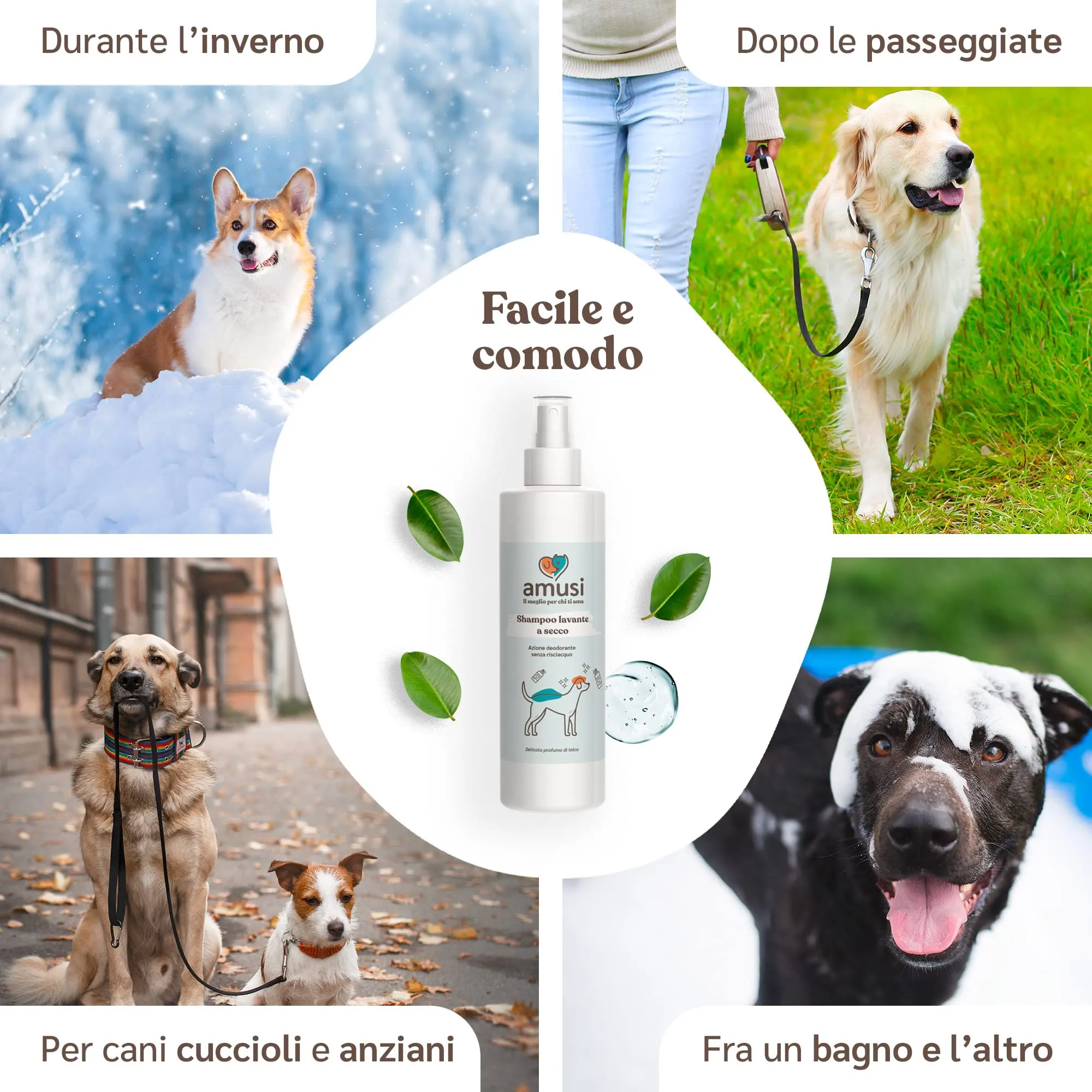 amusi Shampoo Secco per Cani 250ml Antiodore, Made in Italy 100% Naturale e Vegano | Shampoo Cane Spray Senza Risciacquo, Shampoo Per Cani Profumato Ipoallergenico, Balsamo Cani Pelo Lungo - immagine 4