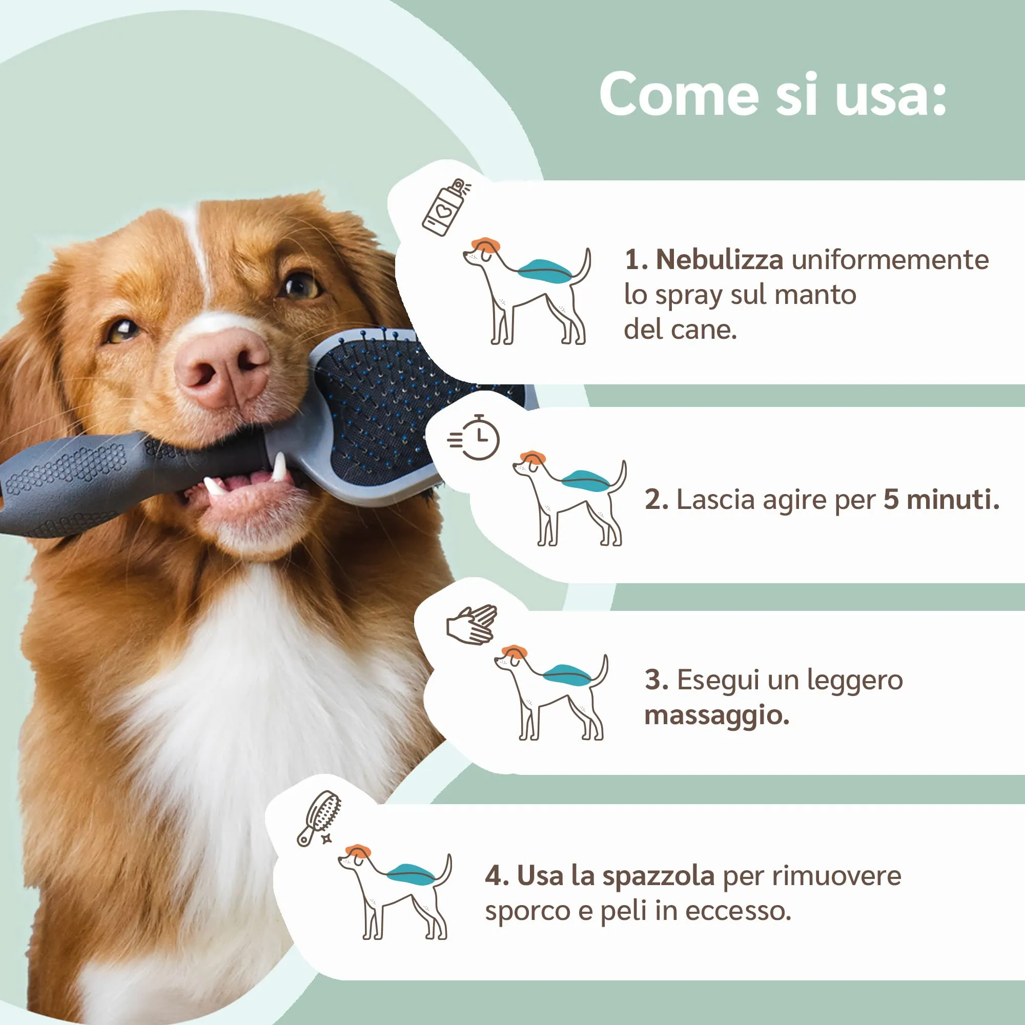 amusi Shampoo Secco per Cani 250ml Antiodore, Made in Italy 100% Naturale e Vegano | Shampoo Cane Spray Senza Risciacquo, Shampoo Per Cani Profumato Ipoallergenico, Balsamo Cani Pelo Lungo - immagine 5