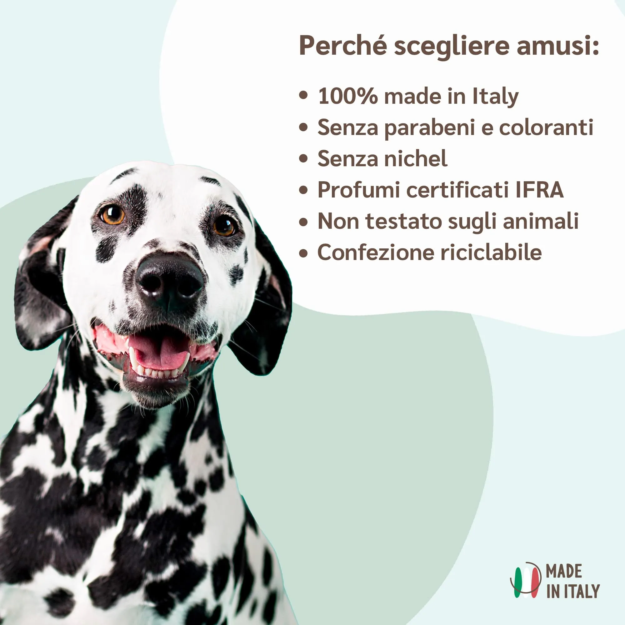 amusi Shampoo Secco per Cani 250ml Antiodore, Made in Italy 100% Naturale e Vegano | Shampoo Cane Spray Senza Risciacquo, Shampoo Per Cani Profumato Ipoallergenico, Balsamo Cani Pelo Lungo - immagine 6