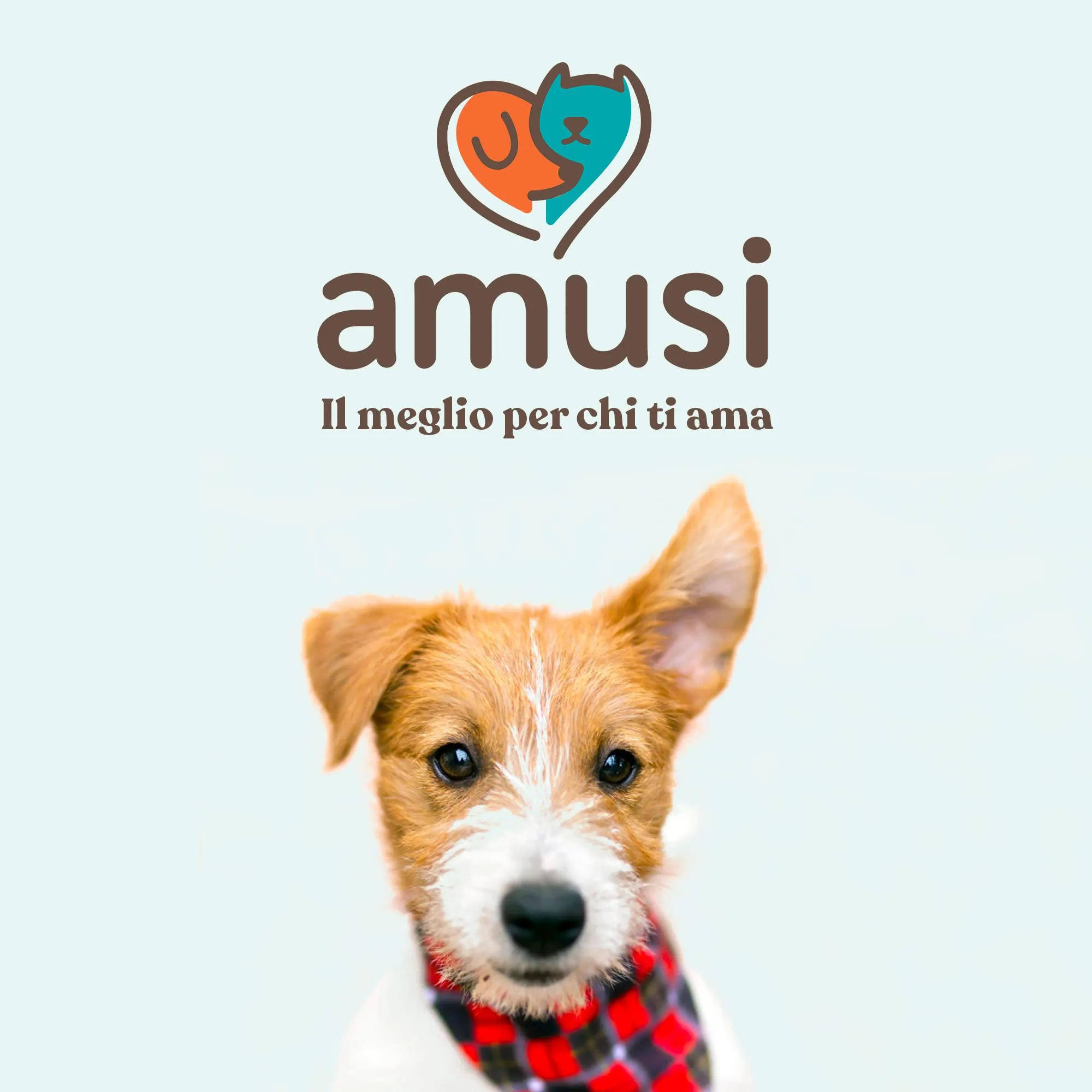 amusi Shampoo Secco per Cani 250ml Antiodore, Made in Italy 100% Naturale e Vegano | Shampoo Cane Spray Senza Risciacquo, Shampoo Per Cani Profumato Ipoallergenico, Balsamo Cani Pelo Lungo - immagine 7