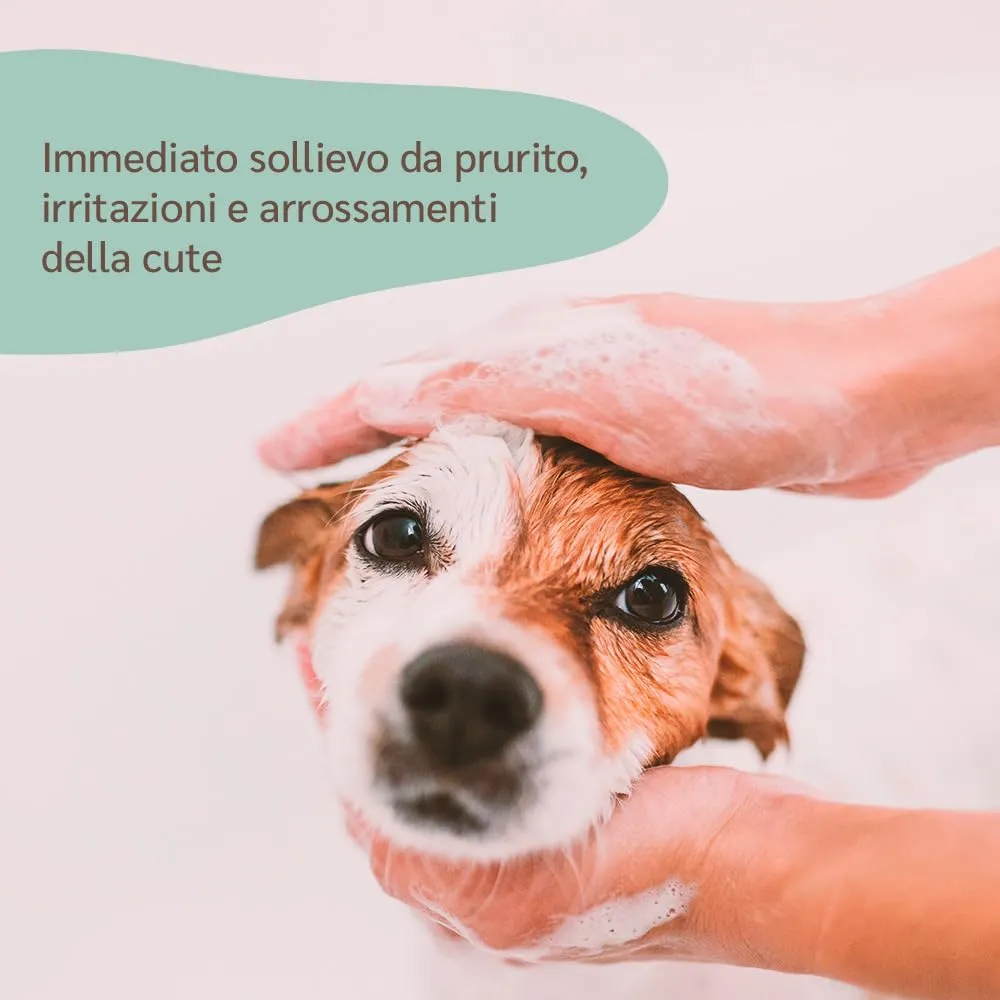 amusi Shampoo per Cani con Dermatite 250ml - Made in Italy, Shampoo Cane Antiprurito, Effetto Calmante per Cute Sensibile - Cane Dermatite Ideale per Tutti i Tipi di Pelo e Cute Irritata - immagine 4