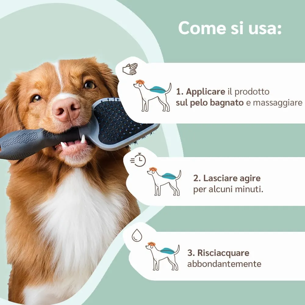 amusi Shampoo per Cani con Dermatite 250ml - Made in Italy, Shampoo Cane Antiprurito, Effetto Calmante per Cute Sensibile - Cane Dermatite Ideale per Tutti i Tipi di Pelo e Cute Irritata - immagine 5