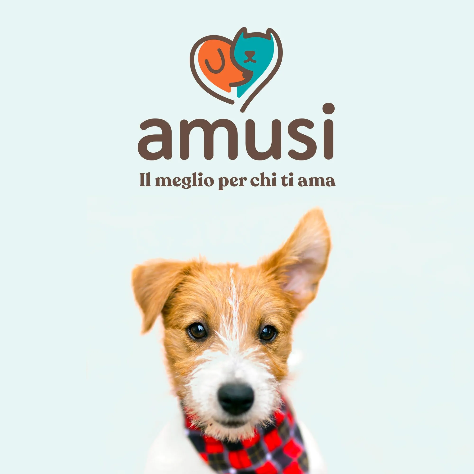 amusi Shampoo per Cani con Dermatite 250ml - Made in Italy, Shampoo Cane Antiprurito, Effetto Calmante per Cute Sensibile - Cane Dermatite Ideale per Tutti i Tipi di Pelo e Cute Irritata - immagine 8