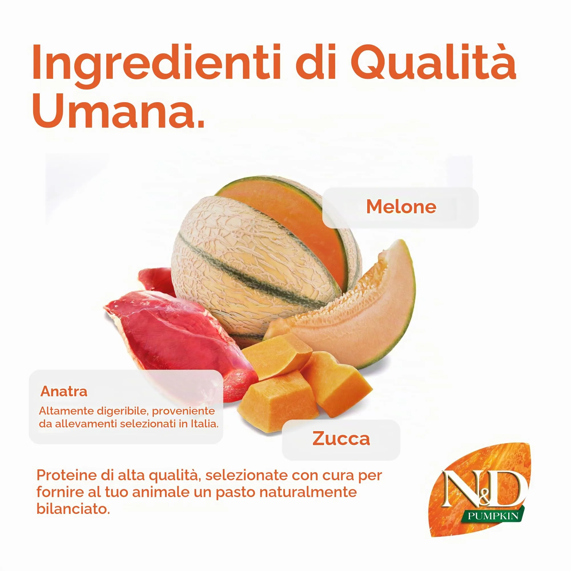 N&D PUMPKIN DOG DUCK E MELONE CANTALUPO ADULT Medium & Maxi 12kg - immagine 4