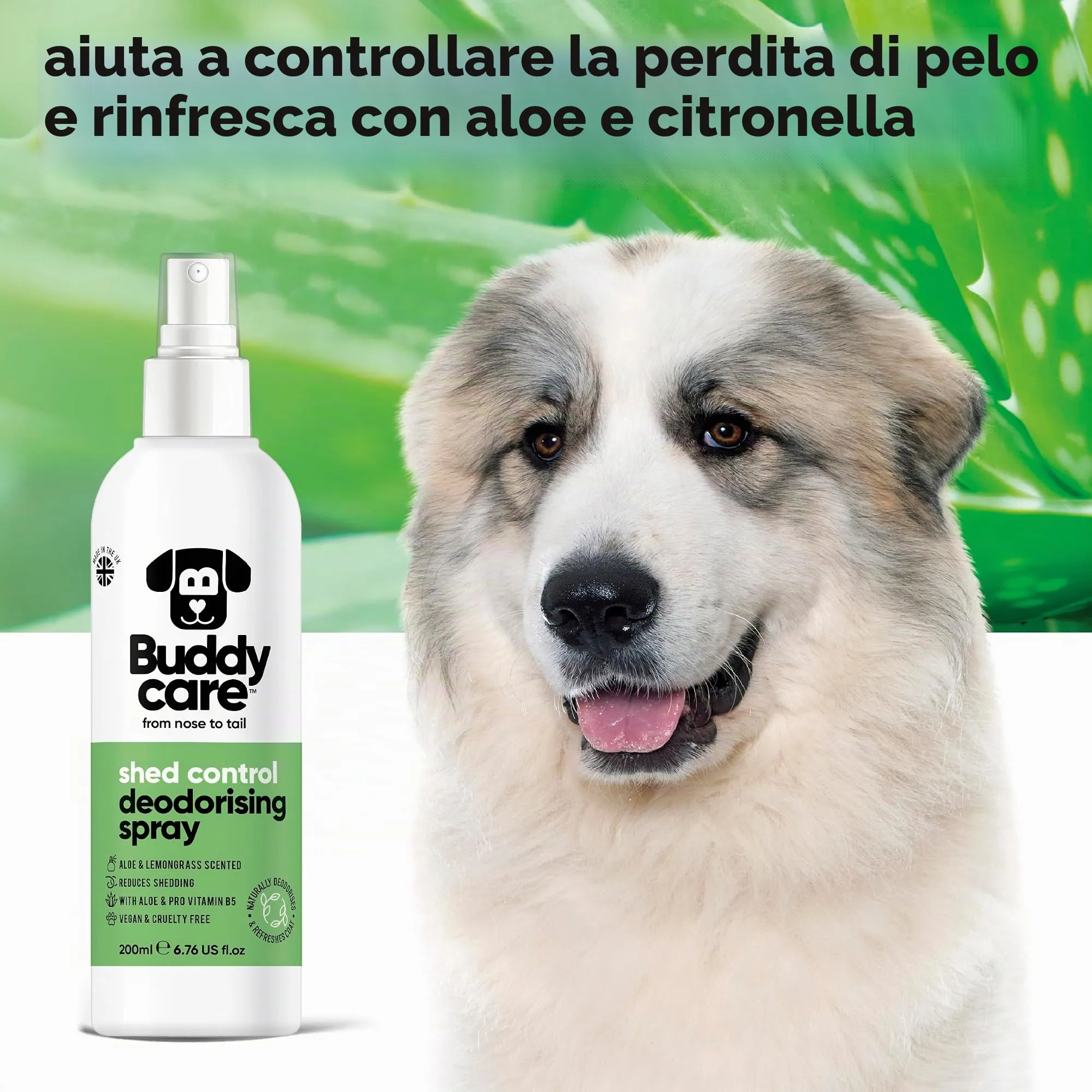 Buddycare Spray Deodorante per Cani - Spray Deodorante Rinfrescante per Cani - Con Aloe Vera e Pro Vitamina B5, Aloe Vera e Citronella, 200 ml (confezione da 1) - immagine 3