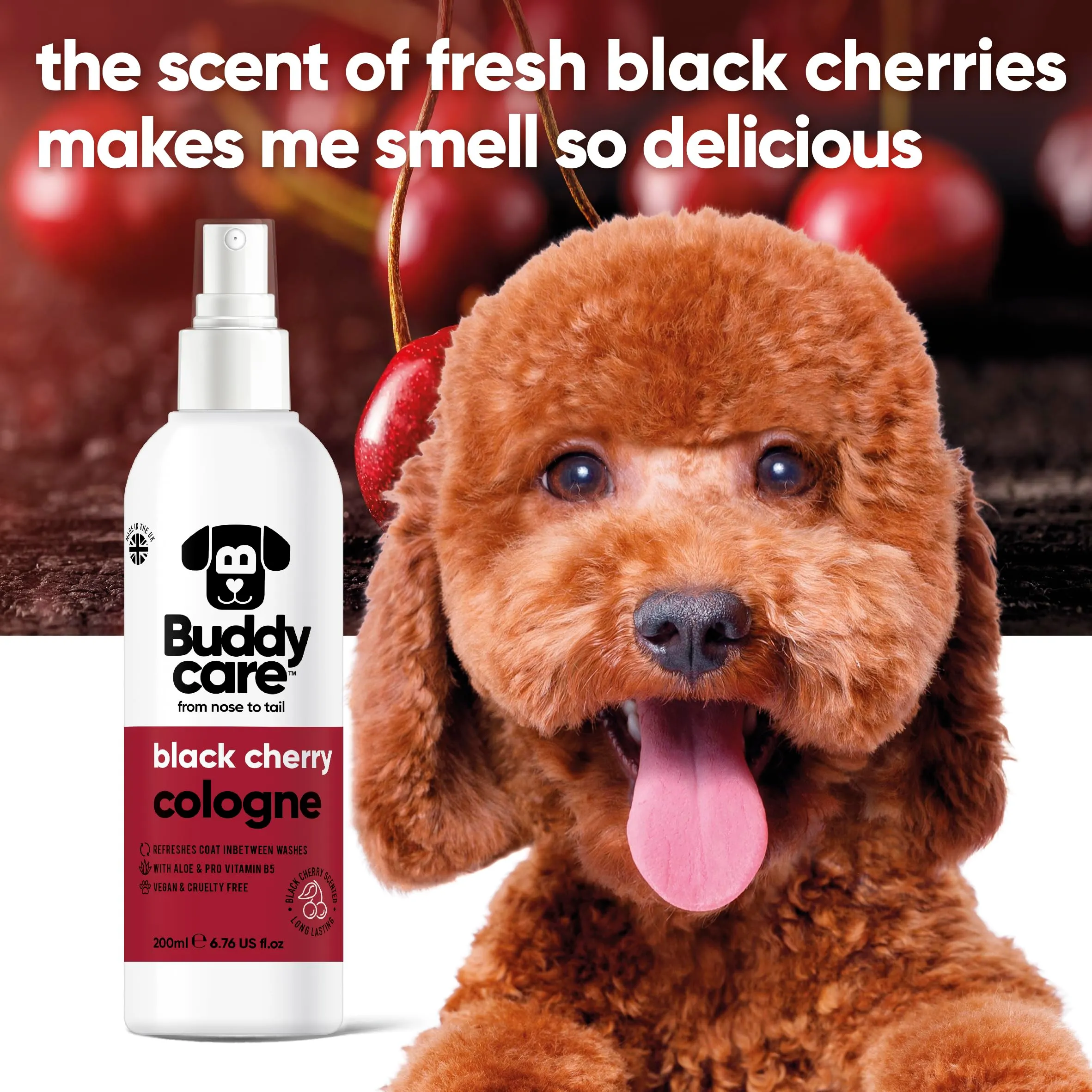 Buddycare Colonia per cani - Colonia per cani dal profumo fruttato e audace - Rinfresca tra i lavaggi del cane, Amarena, 200 ml (confezione da 1) - immagine 3