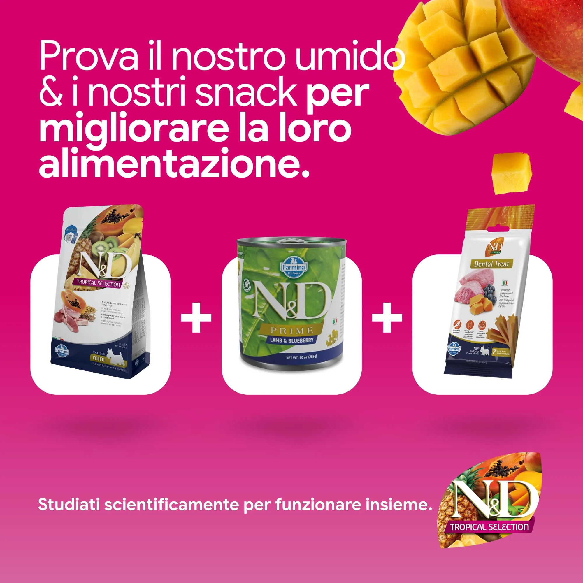N&D Tropical Selection Lamb and tropical fruits Adult Mini 5.00 kg - immagine 8