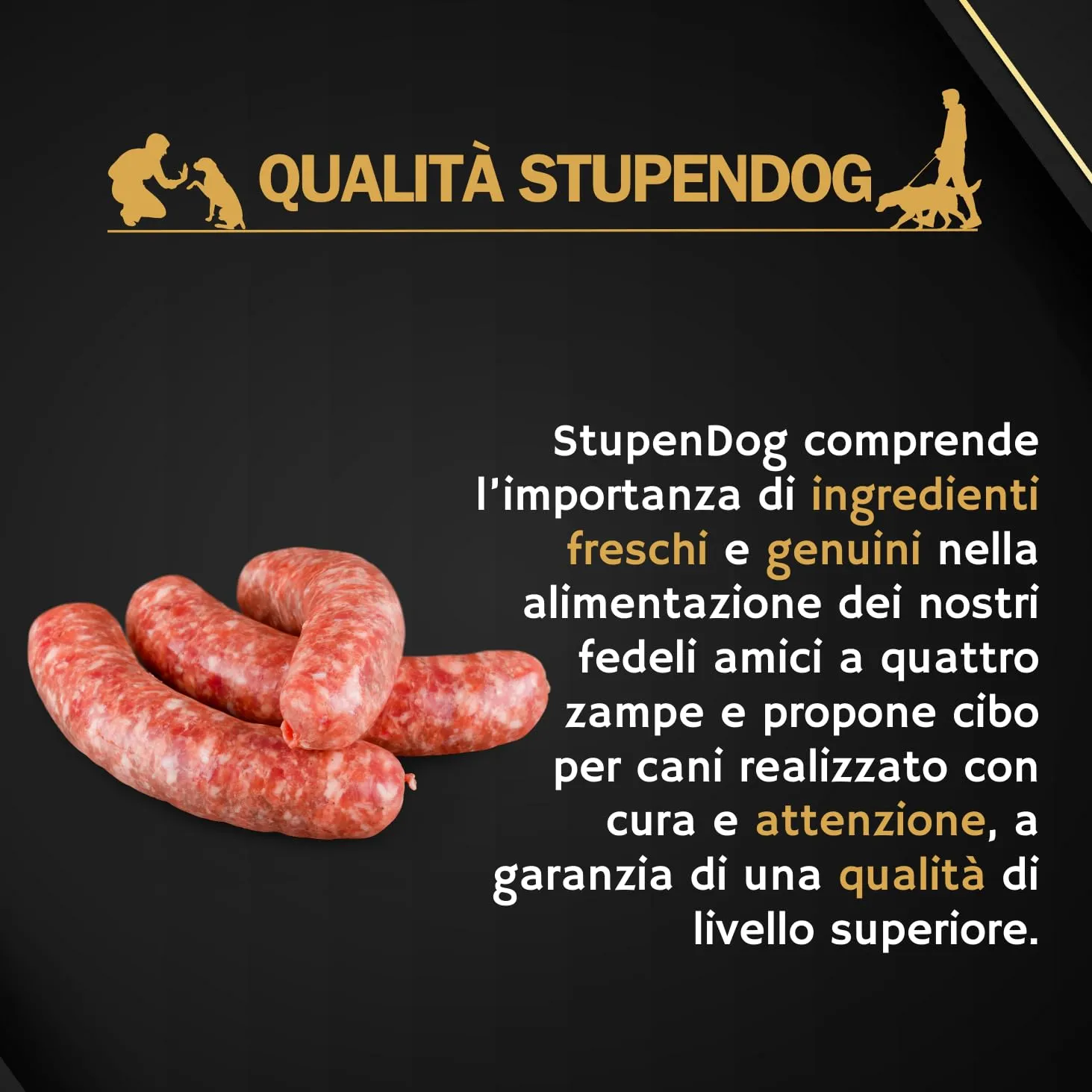 STUPENDOG Crocchette Cani Maiale 15kg per Cani Adulti Taglia Medio/grande in Mantenimento - Croccantini cane - Cibo per cani - immagine 6