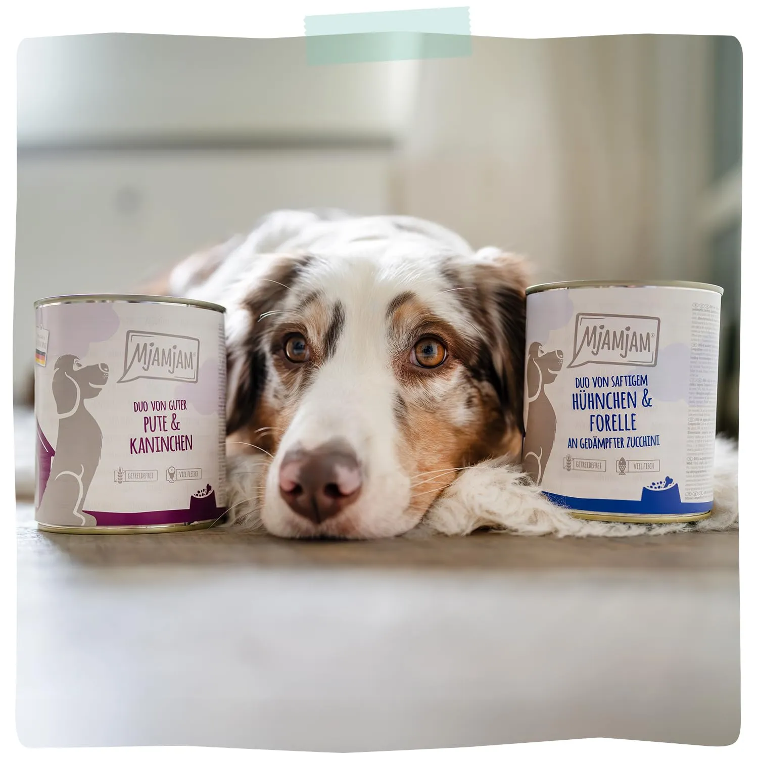 MjAMjAM - Cibo umido premium per cani - Quetschie - tenero tacchino accompagnato da riso cotto con zucchine, confezione da 12 (12 x 125g), senza glutine con carne extra - immagine 6