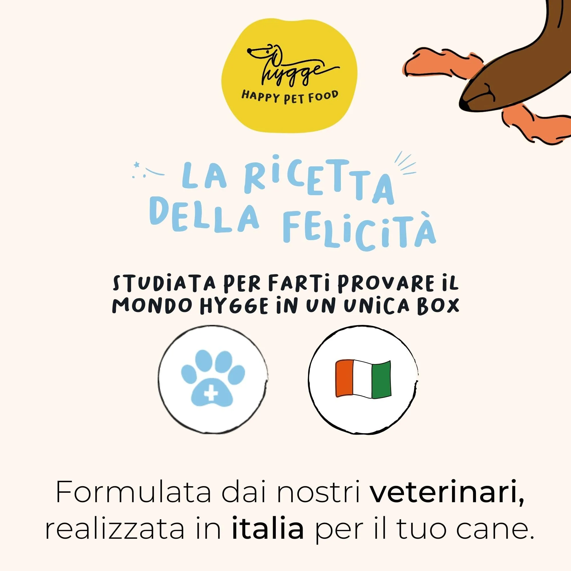Hygge Dog BAU BOX PROVAMI - 800gr Crocchette per Cani monoproteiche maiale - 400gr Cibo Umido Cane senza Cereali Maiale Finocchietto - 3X Biscotti Cane Routine Box e delizioso Integratore Manto - immagine 6