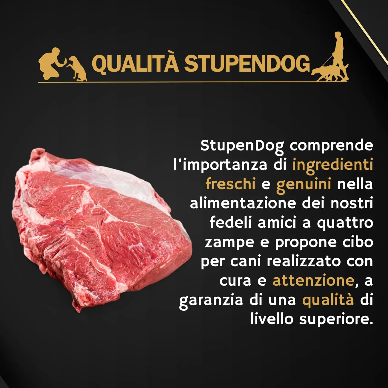 STUPENDOG Crocchette per Cani Energy Power 20kg, Croccantini Cane, Alimento per Cani Adulti Attivi - Cibo per Cane, Cavallo - immagine 5
