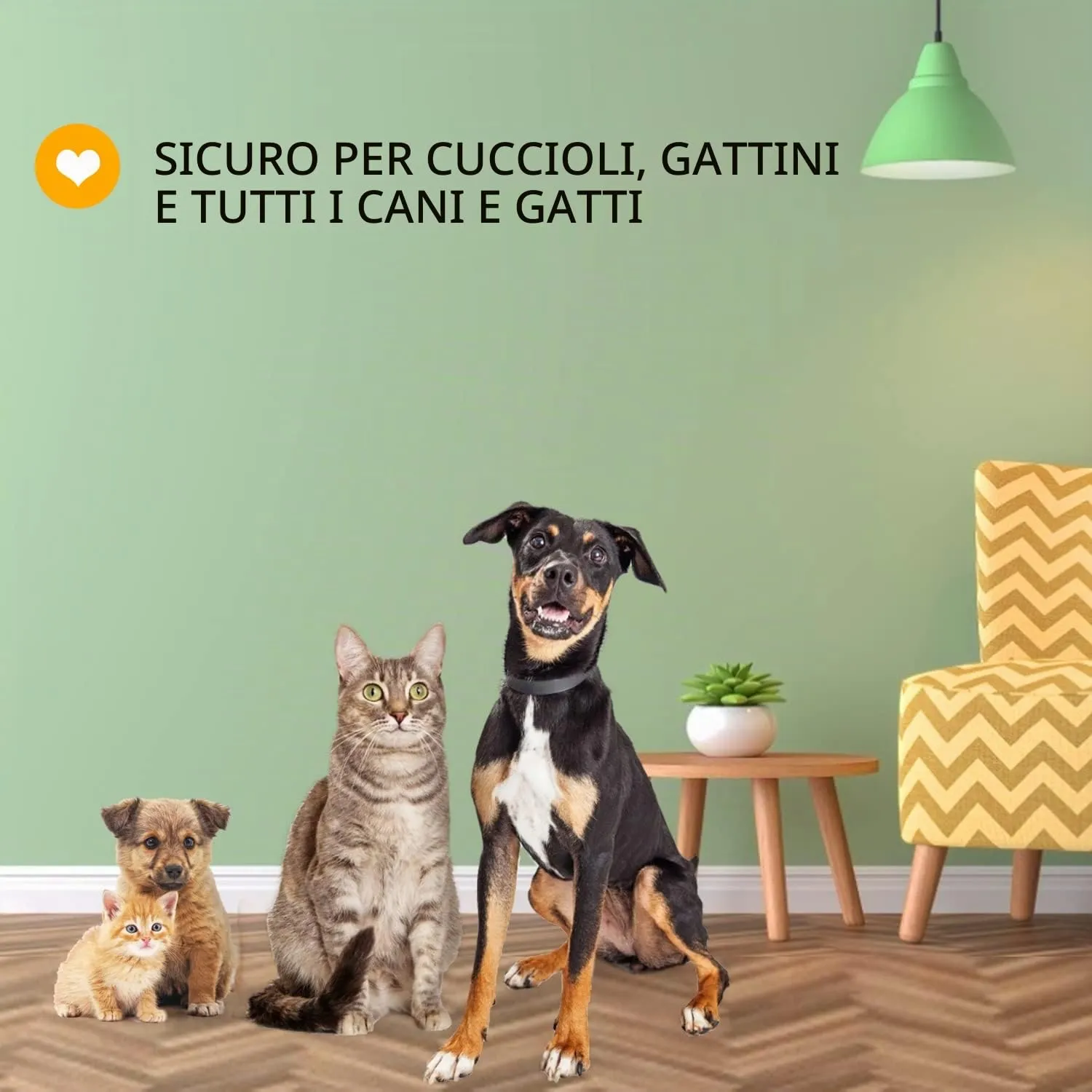 Nobleza Shampoo per Cani, Shampoo Contro Prurito, Acari e pulci, Calma la Pelle dei Cani, Profumo di Latte d'Avena, 250ML - immagine 8