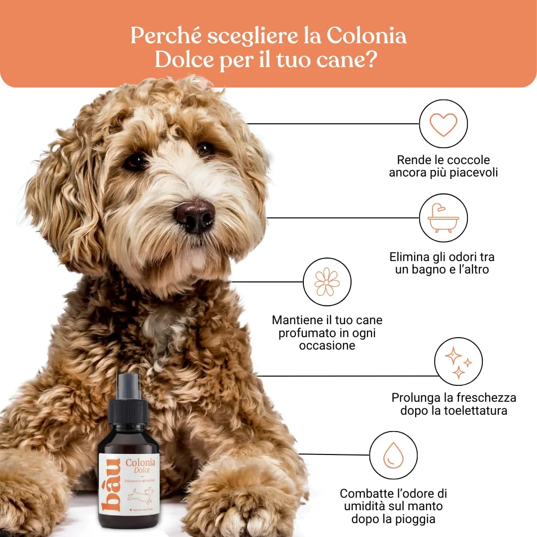 Bau Profumo per Cani Lunga Durata – Deodorante Cane Naturale con Fiordaliso – Profumo per Cani Delicato e Rilassante – Spray Senza Alcol – Dolce - immagine 3