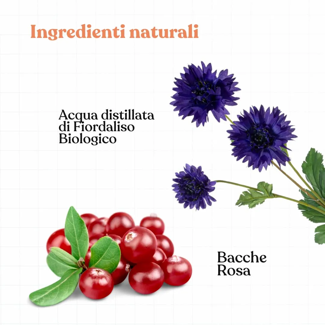 Bau Profumo per Cani Lunga Durata – Deodorante Cane Naturale con Fiordaliso – Profumo per Cani Delicato e Rilassante – Spray Senza Alcol – Dolce - immagine 4