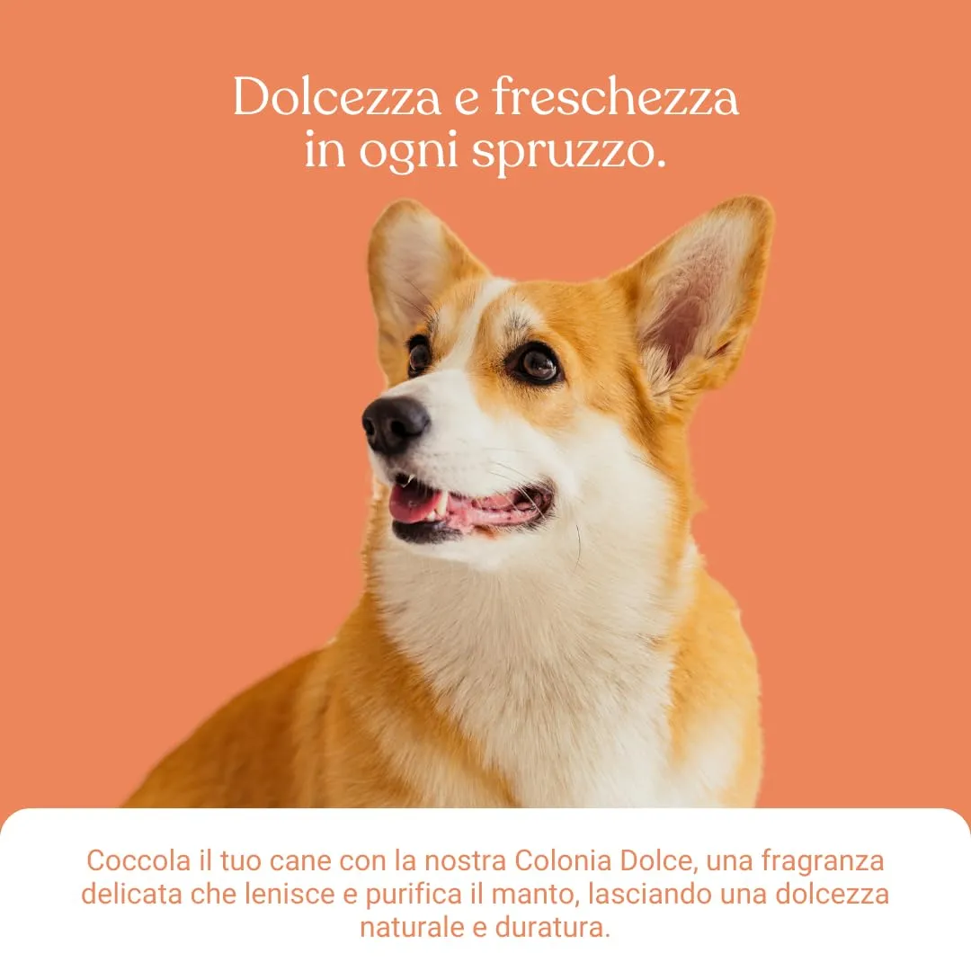Bau Profumo per Cani Lunga Durata – Deodorante Cane Naturale con Fiordaliso – Profumo per Cani Delicato e Rilassante – Spray Senza Alcol – Dolce - immagine 5