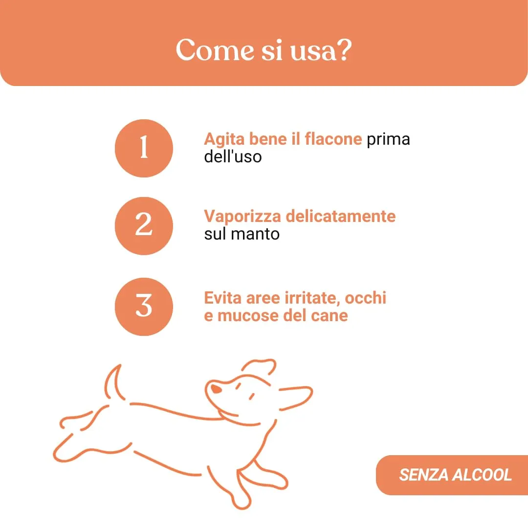 Bau Profumo per Cani Lunga Durata – Deodorante Cane Naturale con Fiordaliso – Profumo per Cani Delicato e Rilassante – Spray Senza Alcol – Dolce - immagine 6