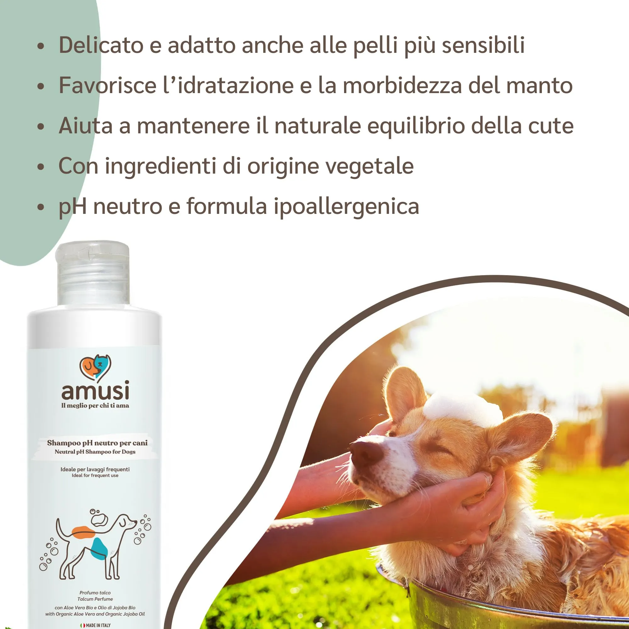amusi Shampoo Cani Pelo Lungo e Corto - Shampoo Cane Delicato Neutro - Prodotti per Animali Cani pH Bilanciato - per Dermatite Cane - immagine 3