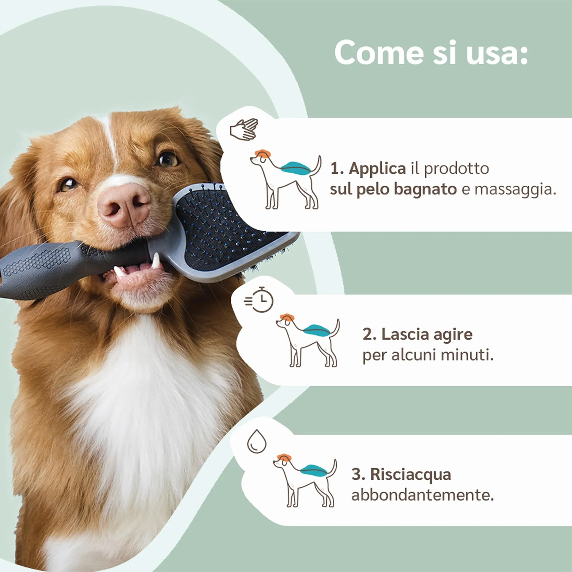 amusi Shampoo Cani Pelo Lungo e Corto - Shampoo Cane Delicato Neutro - Prodotti per Animali Cani pH Bilanciato - per Dermatite Cane - immagine 5