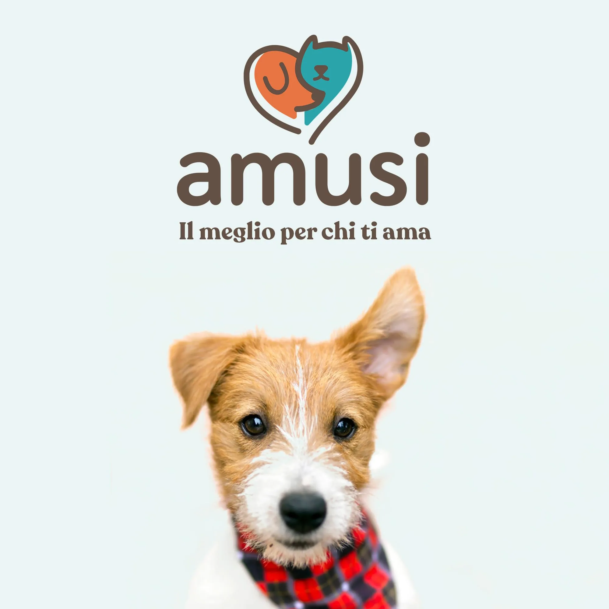 amusi Shampoo Cani Pelo Lungo e Corto - Shampoo Cane Delicato Neutro - Prodotti per Animali Cani pH Bilanciato - per Dermatite Cane - immagine 7