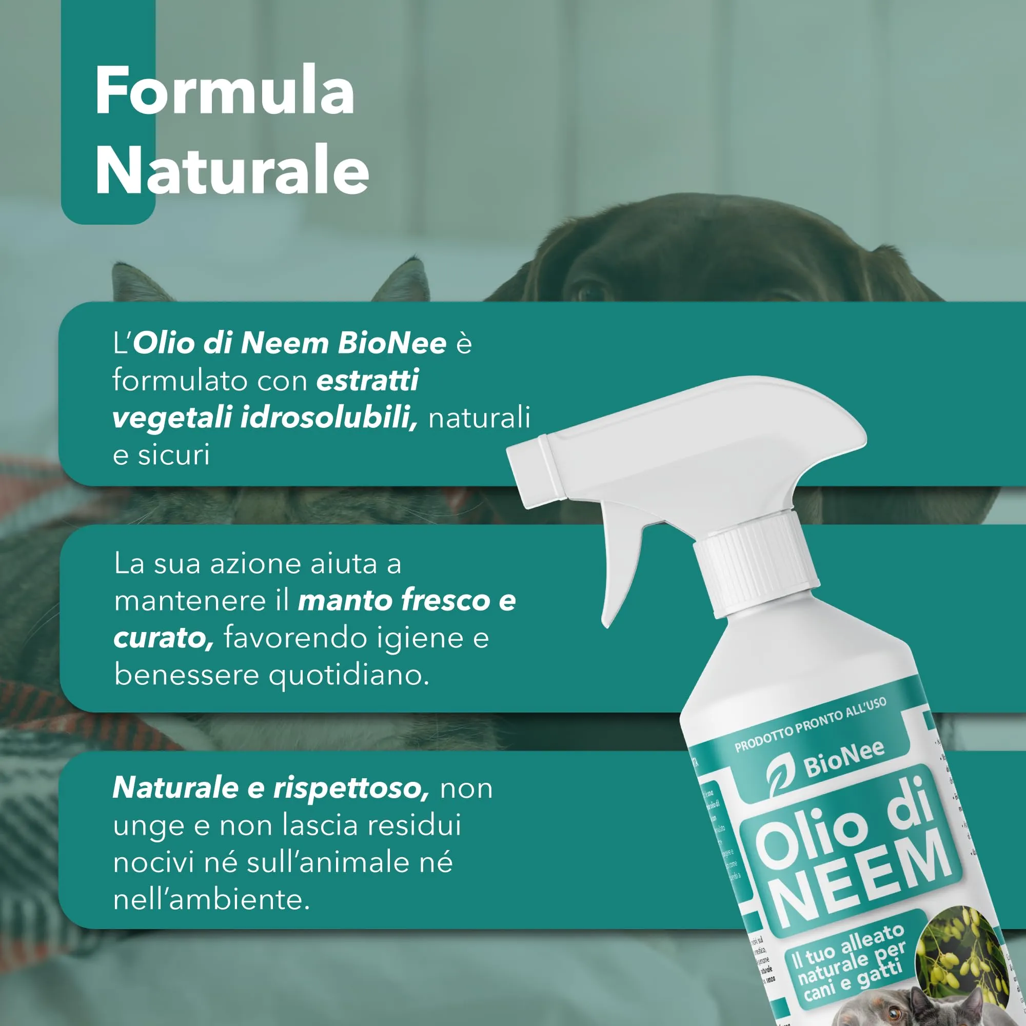 Olio di Neem per Cani e Gatti Spray 500 ml – Idrosolubile, Naturale, Non Unge – Azione Delicata, Effetto Barriera Sgradito a Zecche Pulci Zanzare Insetti - immagine 3