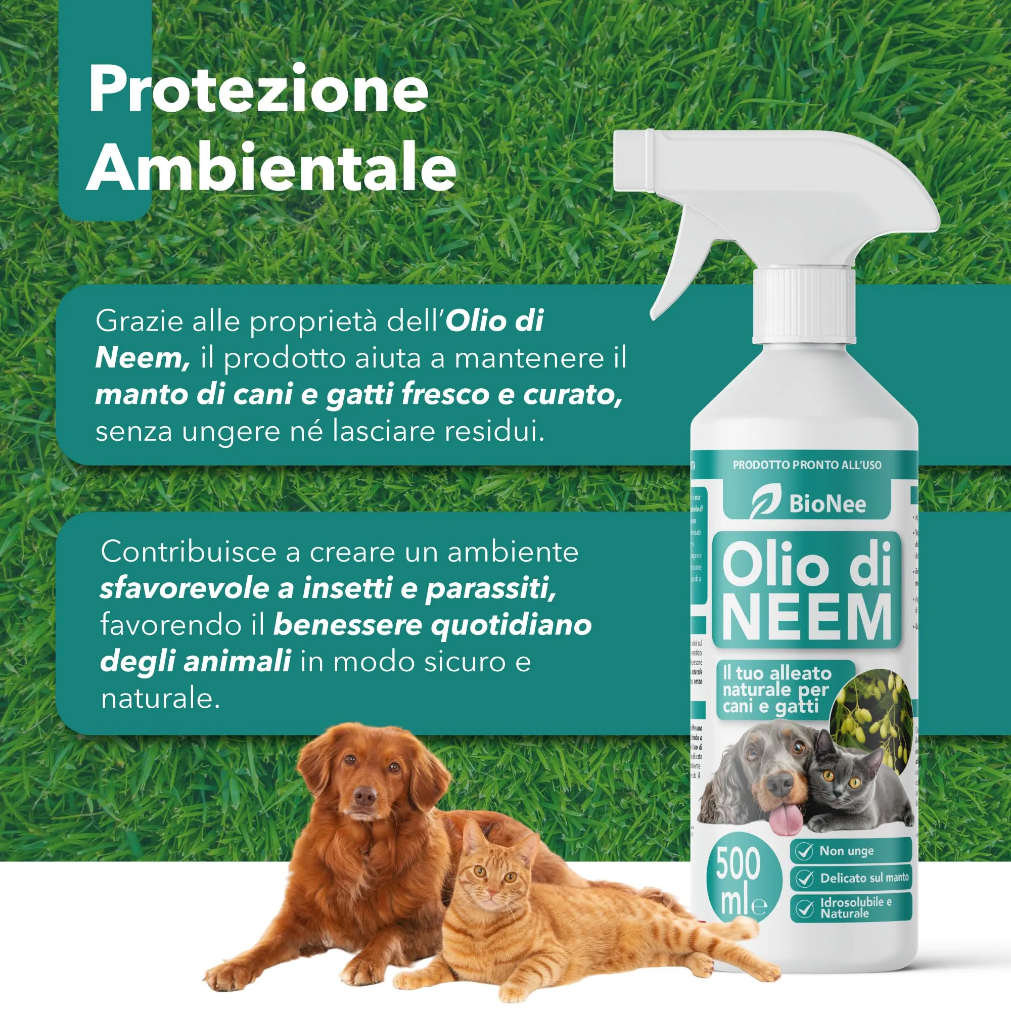 Olio di Neem per Cani e Gatti Spray 500 ml – Idrosolubile, Naturale, Non Unge – Azione Delicata, Effetto Barriera Sgradito a Zecche Pulci Zanzare Insetti - immagine 4
