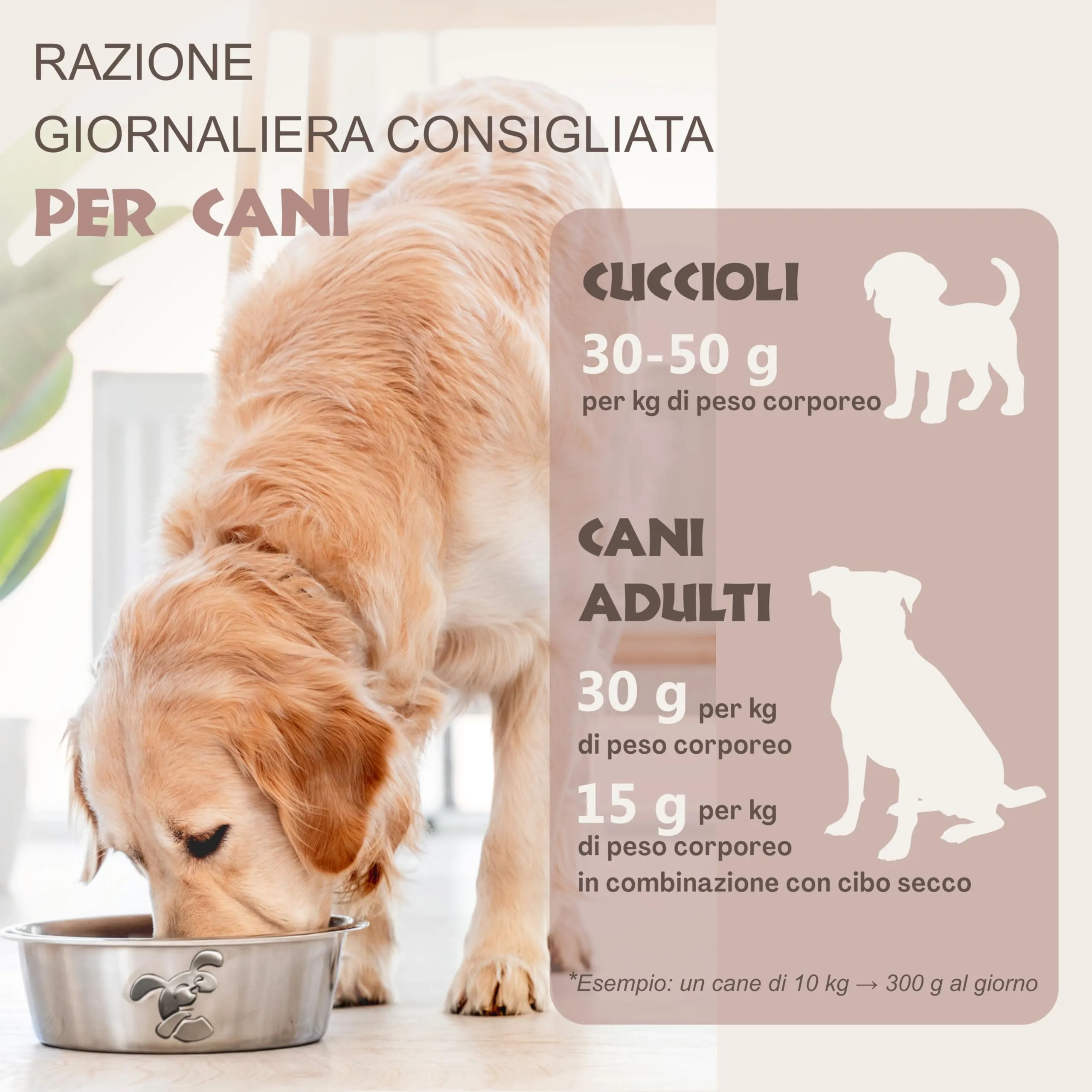 CHEWSTER Salsiccia per cani – mix – 1 × pollo, 1 × anatra, 1 × agnello, 1 × manzo – 4 × 800 g (3,2 kg) – Rotolo di cibo umido per cani senza cereali ad alto contenuto di carne – Alimento completo - immagine 4
