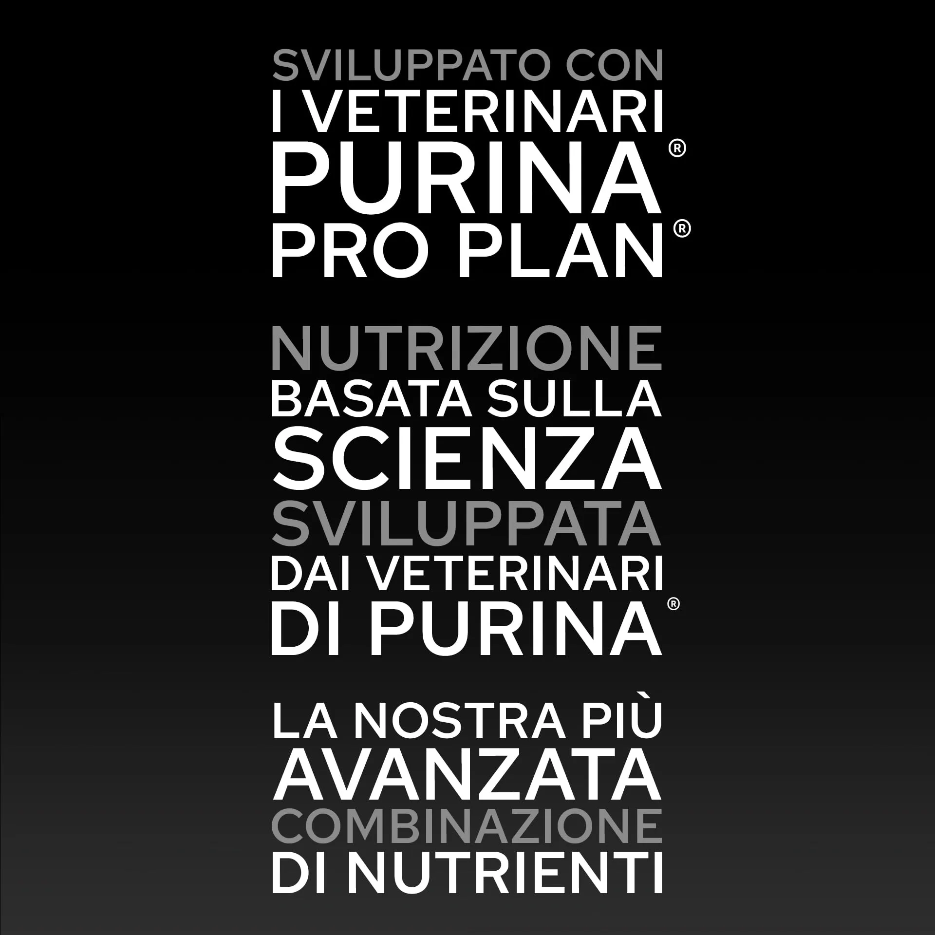 PURINA PRO PLAN Crocchette per Cani Adulti di Tutte le Taglie Sacco da 16kg - immagine 7