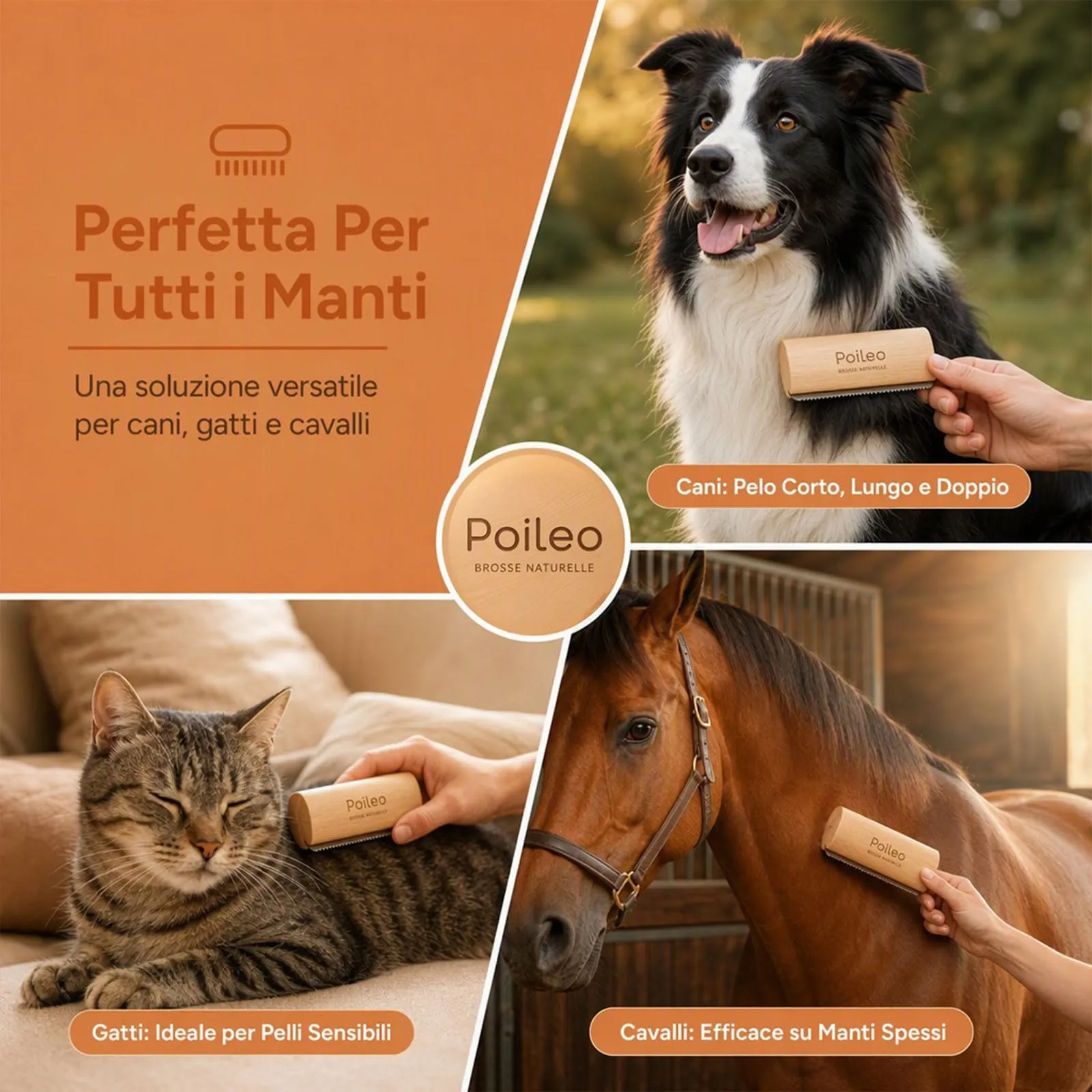 Poileo Spazzola Cani – Spazzola per Peli Morti per Cani, Gatti e Cavalli, Rimuove il Sottopelo in Modo Delicato, Adatta a Tutti i Tipi di Manto, 3 Misure Disponibili - immagine 8