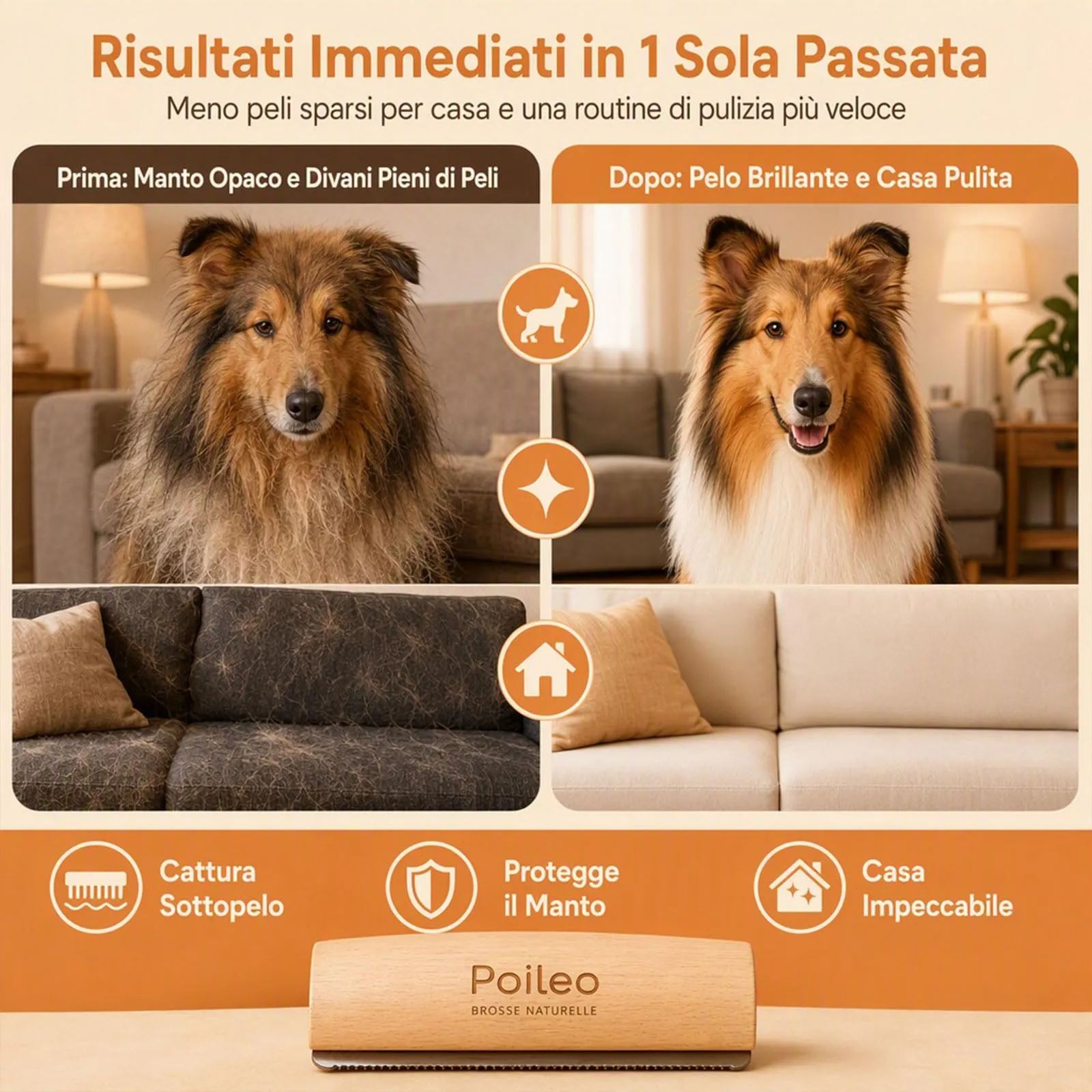 Poileo Spazzola Cani – Spazzola per Peli Morti per Cani, Gatti e Cavalli, Rimuove il Sottopelo in Modo Delicato, Adatta a Tutti i Tipi di Manto, 3 Misure Disponibili (Grande) - immagine 7