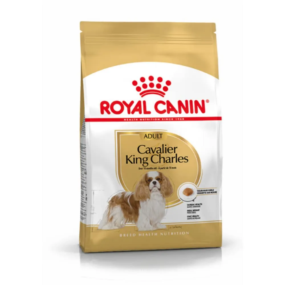 Royal Canin Cavalier King Charles Adult - immagine 1
