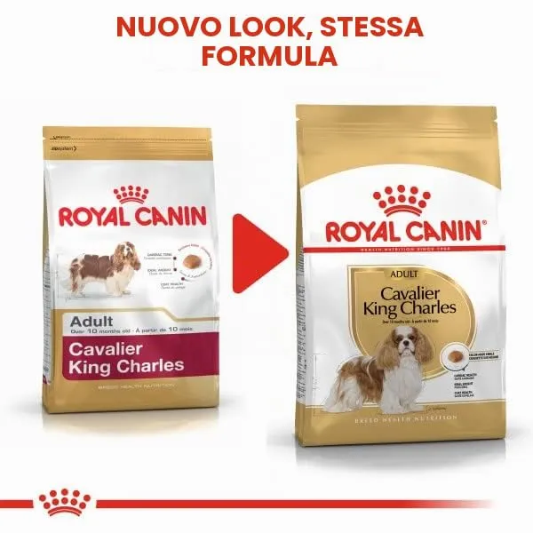Royal Canin Cavalier King Charles Adult - immagine 3