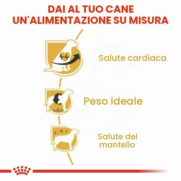 Royal Canin Cavalier King Charles Adult - immagine 6