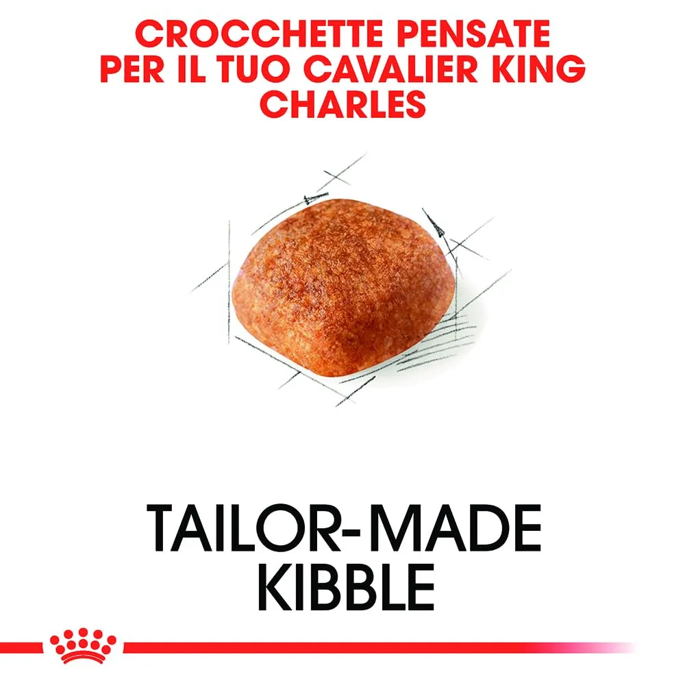 ROYAL CANIN Cavalier King Charles Adult - Cibo secco per cani - 3kg - immagine 4