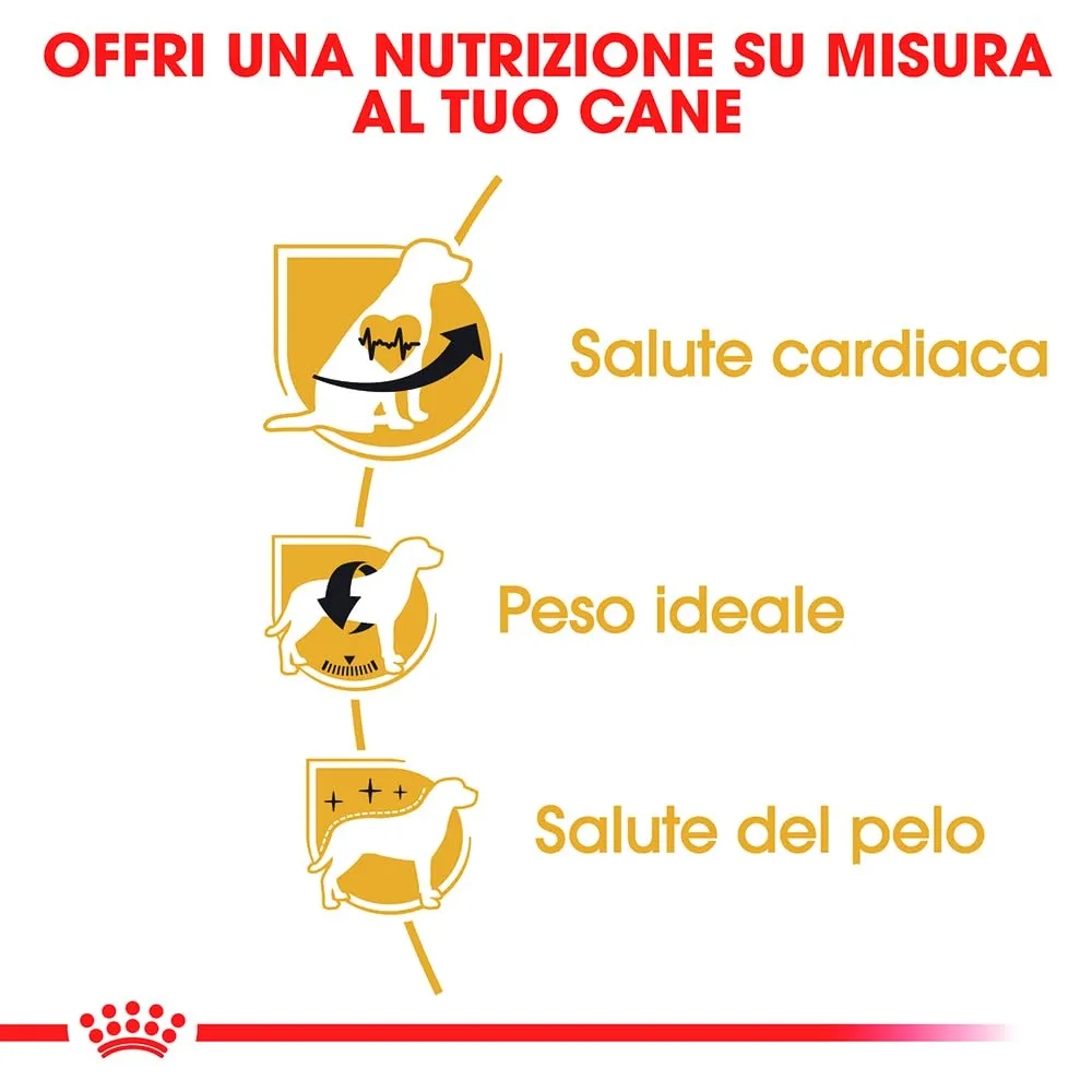 ROYAL CANIN Cavalier King Charles Adult - Cibo secco per cani - 3kg - immagine 5