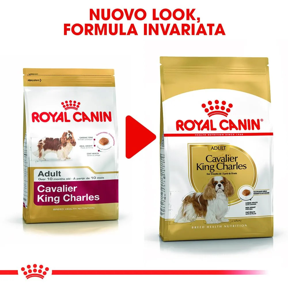 ROYAL CANIN Cavalier King Charles Adult - Cibo secco per cani - 3kg - immagine 6