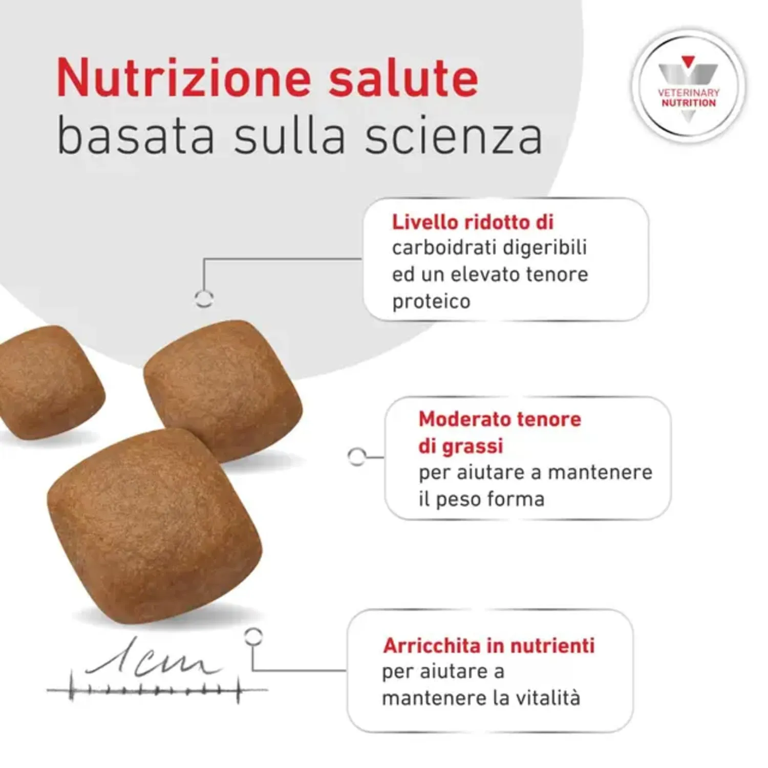 Royal Canin | Dog | Glycobalance Veterinary Diets | Cibo Secco per Cani | Sacco da 12 kg - immagine 2
