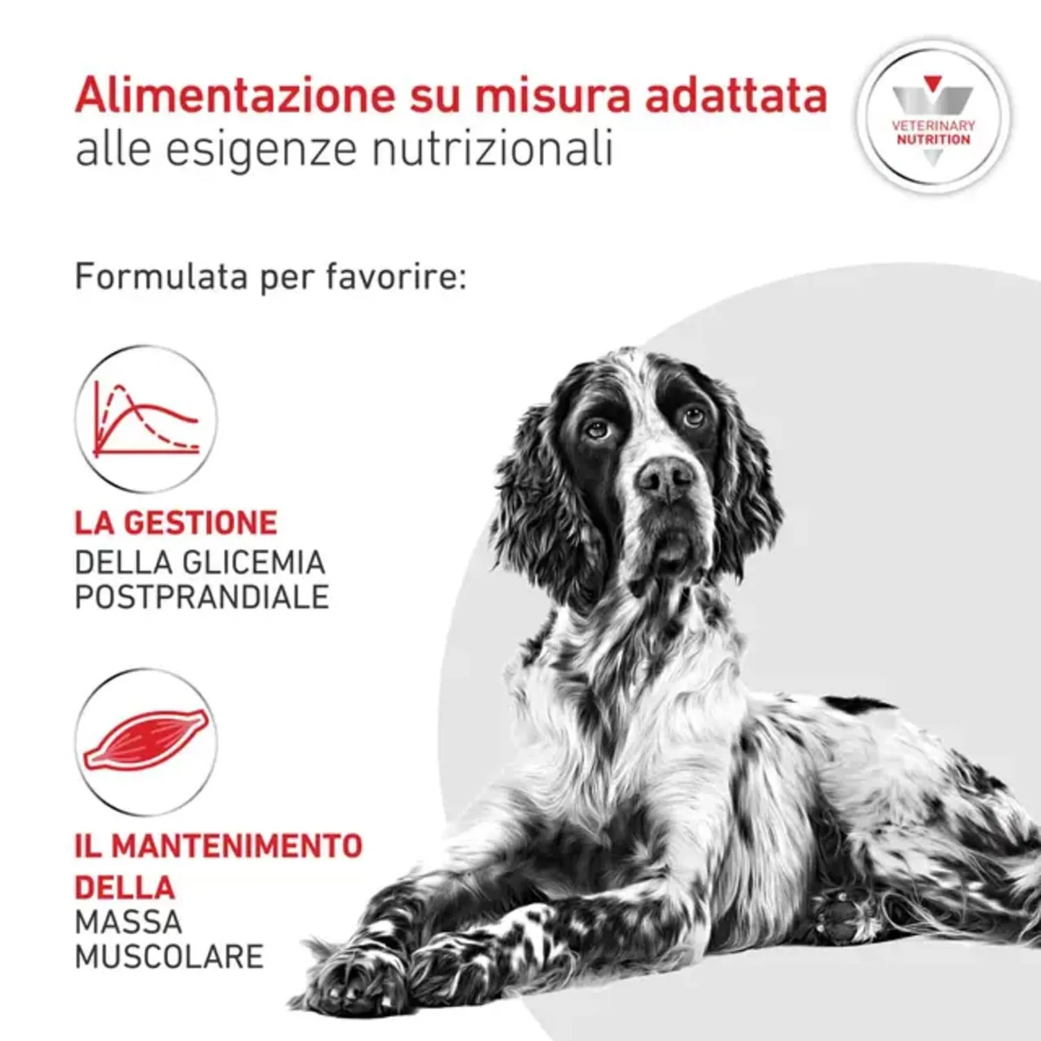 Royal Canin | Dog | Glycobalance Veterinary Diets | Cibo Secco per Cani | Sacco da 12 kg - immagine 6