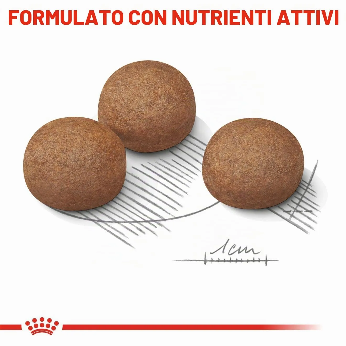 Royal Canin Mini Digestive Care - immagine 6