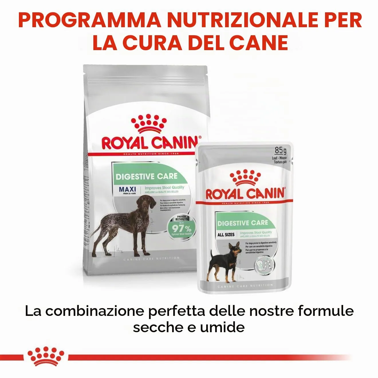 Royal Canin Mini Digestive Care - immagine 7