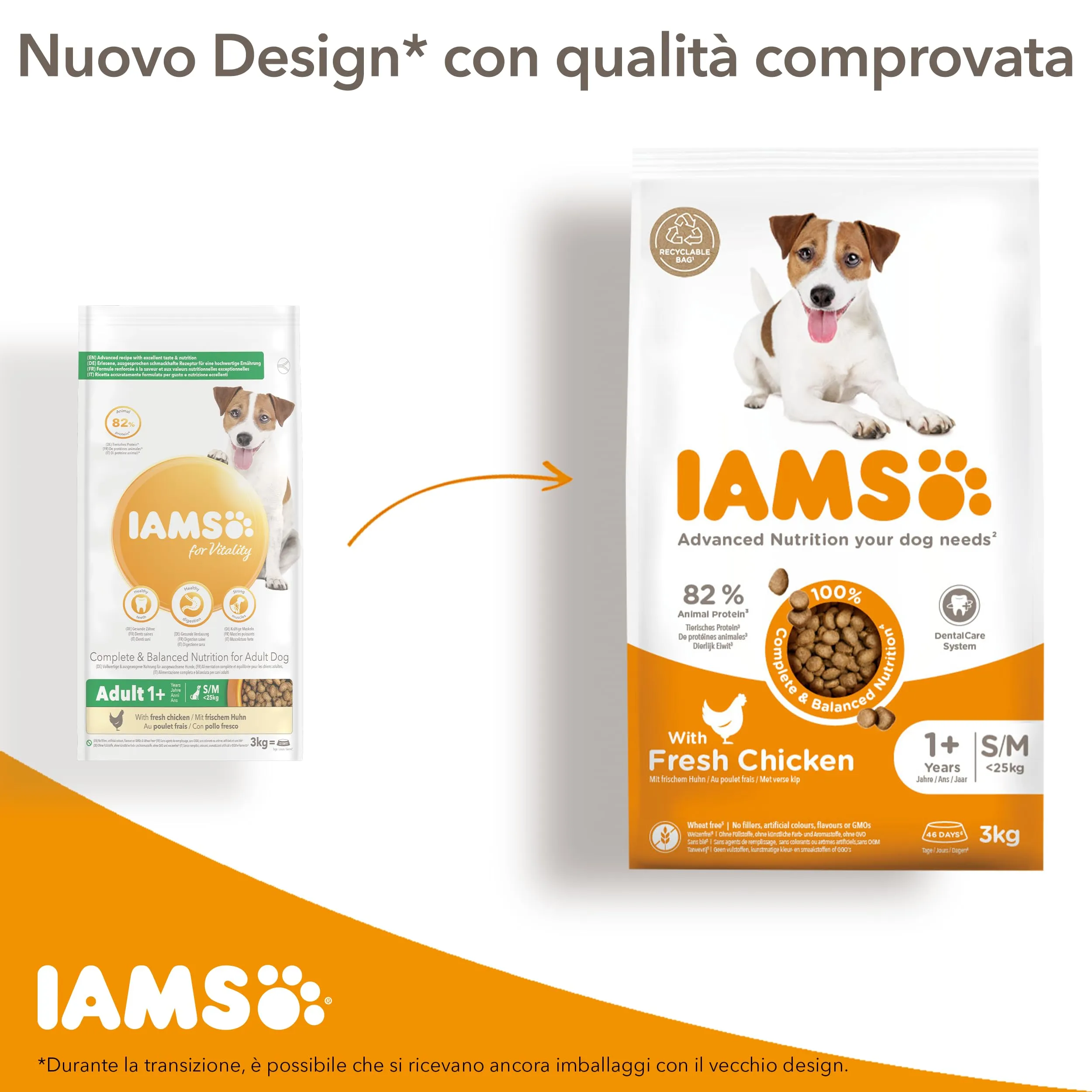 IAMS Cibo secco per cani anziani di taglia piccola/media con pollo, 5 kg - immagine 2