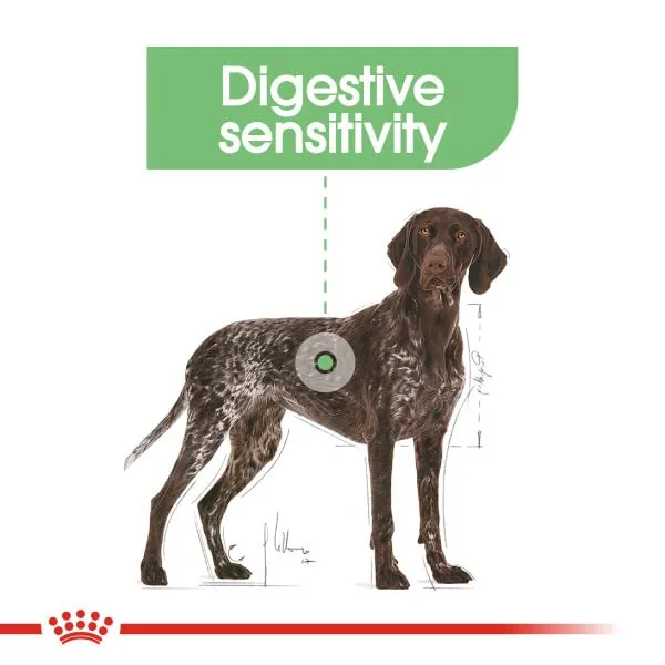 ROYAL CANIN CCN Maxi Digestive Care 10000 g - immagine 4