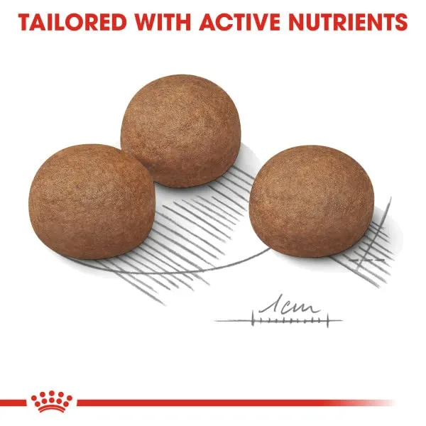 ROYAL CANIN CCN Maxi Digestive Care 10000 g - immagine 6