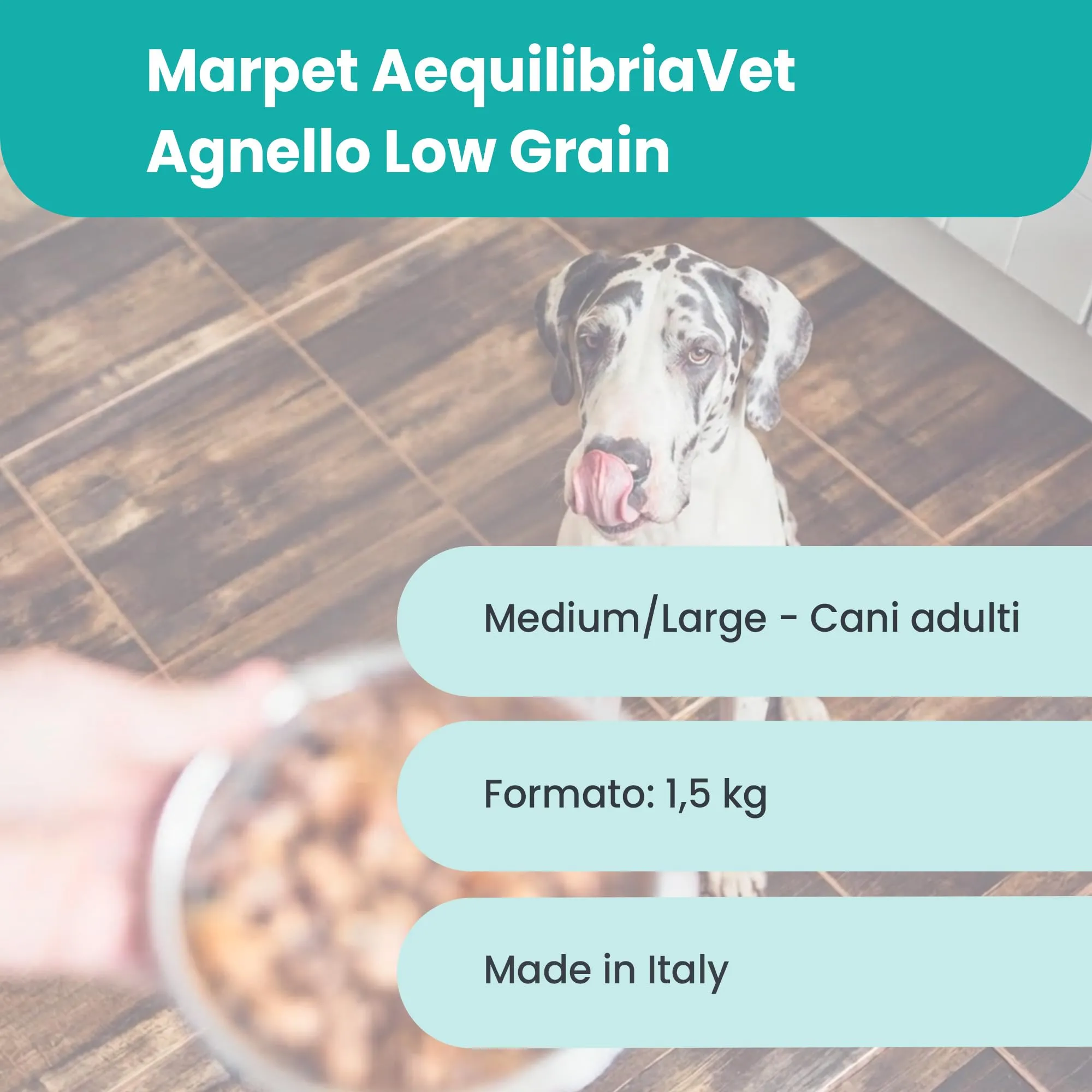 Marpet AequilibriaVet Agnello Medium Large Diet, cani adulti, 1,5 kg - immagine 3