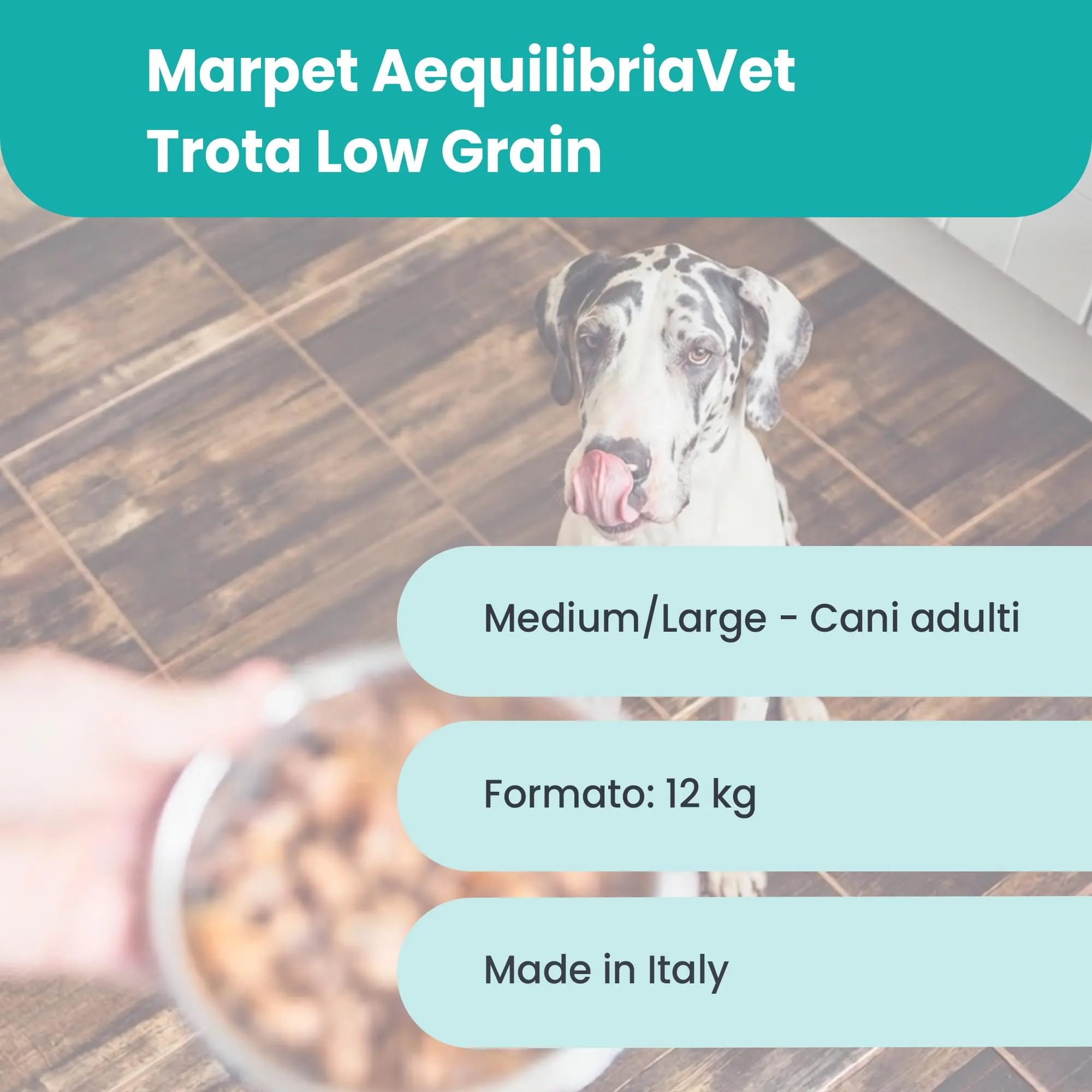 Marpet AequilibriaVet Trota Low Grain Medium Large Diet, cani adulti, 12 kg - immagine 3