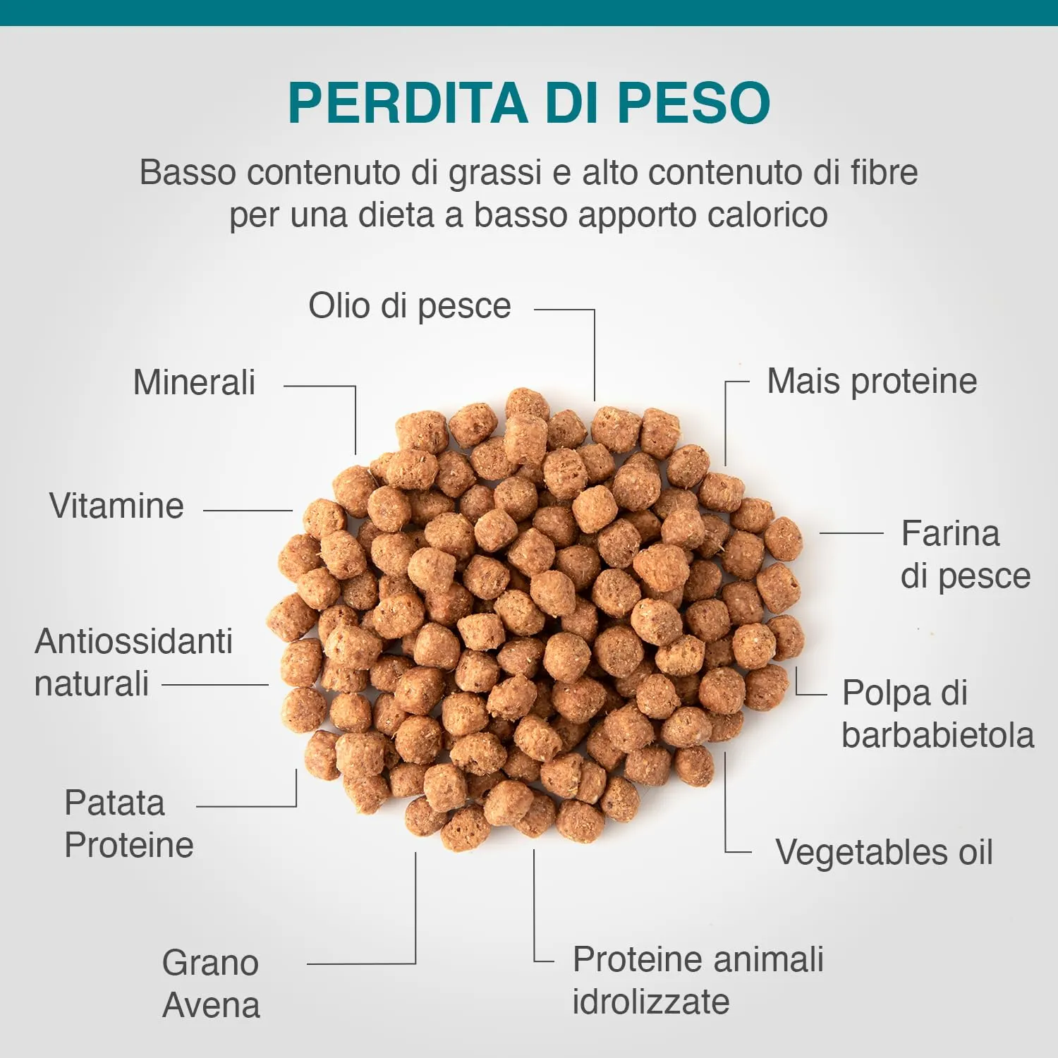 SPECIFIC® Weight Reduction (CRD1) - 12kg – Crocchette dietetiche per cani in sovrappeso o con diabete - Alto contenuto di proteine - Basso contenuto di grassi e calorie - DECHRA Veterinary Products - immagine 3