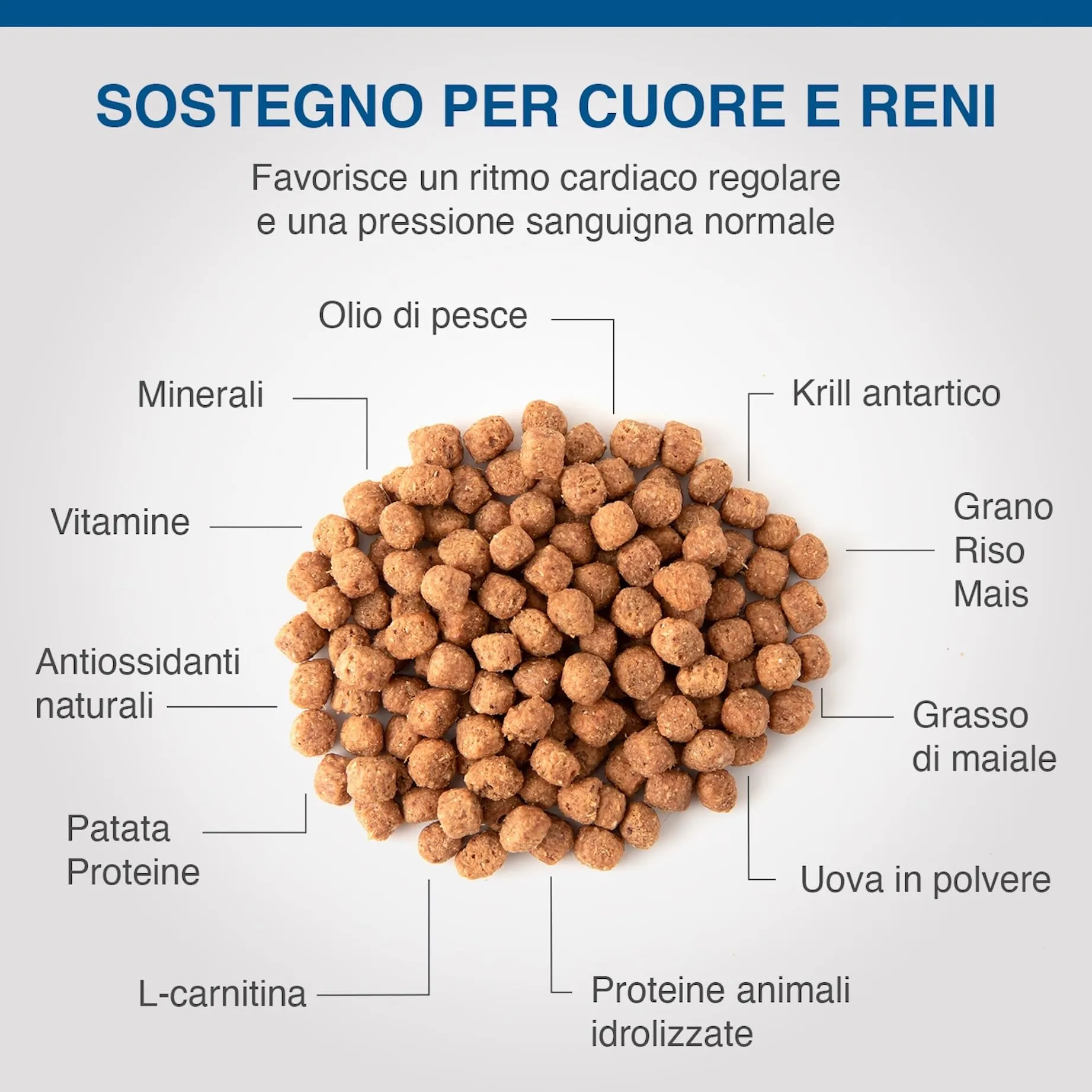SPECIFIC® Heart & Kidney Support (CKD) - 2kg - Crocchette - Omega 3 e olio di krill - Basso contenuto proteico per ridurre il carico di lavoro dei reni - Per cani adulti - DECHRA Veterinary Products - immagine 3