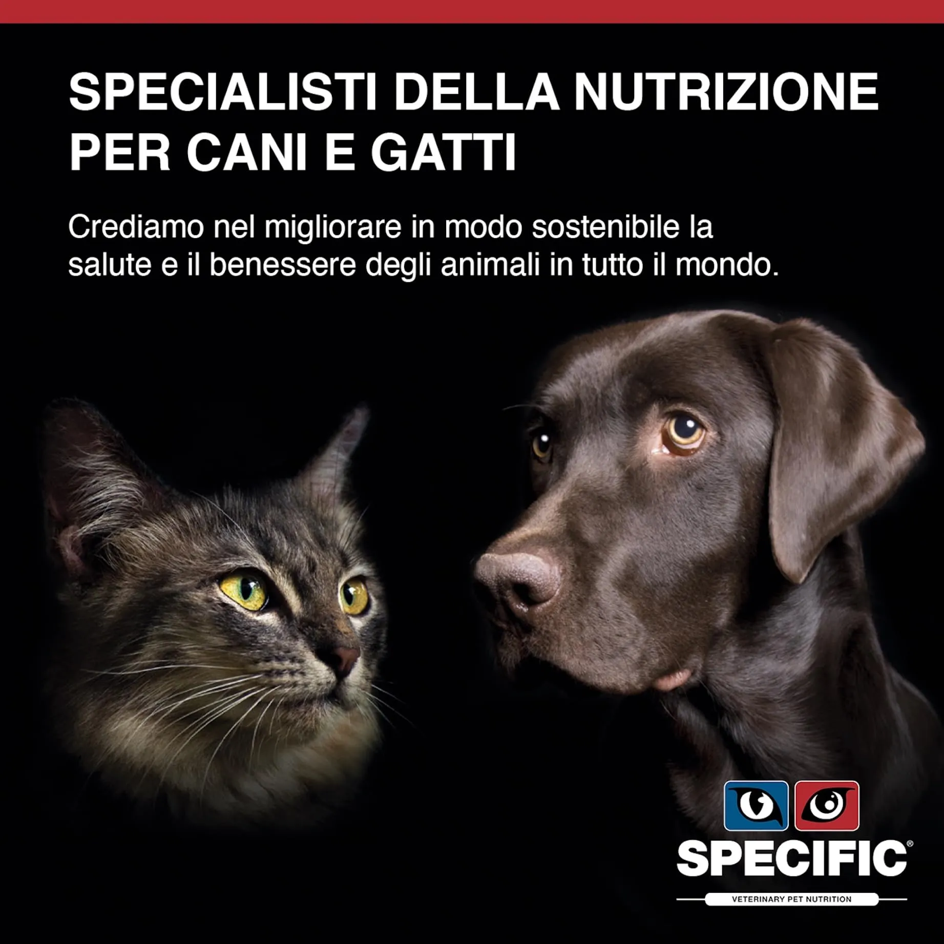 SPECIFIC® Heart & Kidney Support (CKD) - 2kg - Crocchette - Omega 3 e olio di krill - Basso contenuto proteico per ridurre il carico di lavoro dei reni - Per cani adulti - DECHRA Veterinary Products - immagine 5