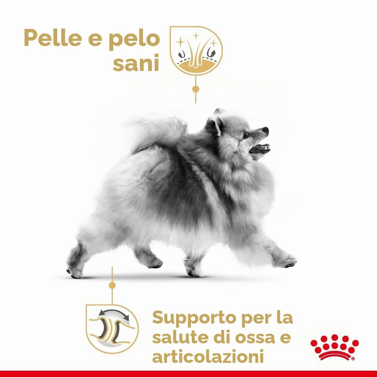 Royal Canin Pomeranian Adult | 1,5 kg | Alimento completo per cani | Cibo secco per Pomeranian adulti e anziani | A partire dall'8° mese | Contenuto minerale adeguato - immagine 6