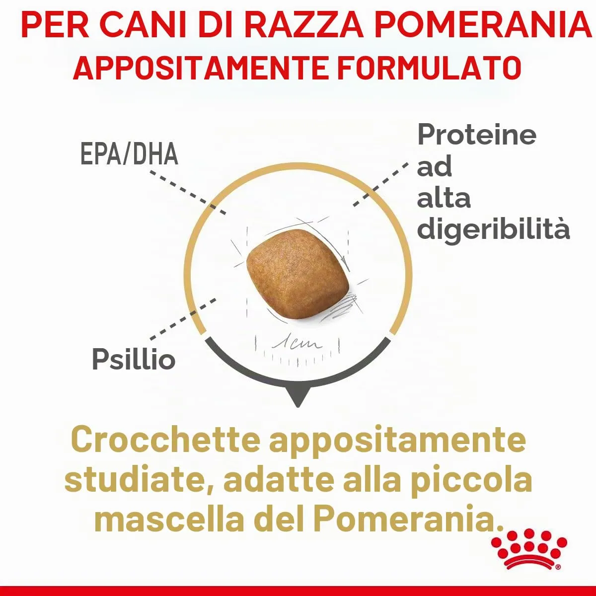 Royal Canin Pomeranian Adult | 1,5 kg | Alimento completo per cani | Cibo secco per Pomeranian adulti e anziani | A partire dall'8° mese | Contenuto minerale adeguato - immagine 7